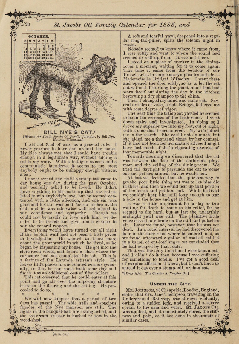 C''C) St. Jacobs Oil Family Calendar for 1885, and B. ED.) A soft and tearful yawl, deepened into a regu¬ lar ring-tail-puler, splits the solemn night in twain. Nobody seemed to know where it came from. I rose softly and went to where the sound had seemed to well up from. It was not there. I stood on a piece of cracker in the dining¬ room a moment, waiting for it to come again. This time it came from the boudoir of our French artist in soup-bone symphonies and pie,— Mademoiselle Bridget O’Dooley. I went there and opened the door softly, so as to let the cat out without disturbing the giant mind that had worn itself out during the day in the kitchen bestowing a dry shampoo to the china. Then I changed my mind and came out. Sev¬ eral articles of vista, beside Bridget, followed me with some degree of vigor. The next time the tramp cat yawled he seemed to be in the recesses of the bath-room. I went down stairs and investigated. In doing so I drove my superior toe into my foot, out of sight, with a door that I encountered. My wife joined me in the search. She could not do much, but she aided me a thousand times by her counsel. If it had not been for her mature advice I might have lost much of the invigorating exercise of that memorable night. Towards morning we discovered that the cat was between the floor of the children’s play¬ room and the ceiling of the dining-room. We tried till daylight to persuade the cat to come out and get acquainted, but he would not. At last we decided that the quickest way to get the poor little thing out was to let him die in there, and then we could tear up that portion of the house and get him out. While he lived we couldn’t keep him still long enough to tear a hole in the house and get at him. It was a little unpleasant for a day or two waiting for death to come to his relief, for he seemed to die hard, but at last the unearthly midnight yawl was still. The plaintive little voice ceased to vibrate on the still and pulseless air. Later we found, however, that he was not dead. In a lucid interval he had discovered the hole in the store-room where he entered, and, as we found afterward a gallon of coal-oil spilled in a barrel of cut-loaf sugar, we concluded that he had escaped by that route. That was the only time that I ever kept a cat, and I didn’t do it then because I was suffering for something to fondle. I’ve got a good deal of surplus affection, I know, but I don’t have to spread it out over a stump-tail, orphan cat. * [Copyright. The Charles A. Vogeler Co.] Under the City. We will now suppose that a period of two days has passed. The wide halls and spacious facades of the Nye mansion are still. The lights in the banquet-hall are extinguished, and the ice-cream freezer is hushed to rest in the wood-shed. Mr. Johnson, 98 Cheapside, London, England, states, that Mrs. Jane Thompson, traveling on the Underground Railway, was thrown violently, owing to a sudden jerk, and received a severe sprain to the arm and wrist. St. JACOBS Oil was applied, and it immediately cured, the stiff¬ ness and pain, as it has done in thousands similar cases. BILL MYE’S CAT.* (Written for The St. Jacobs Oil Family Calendar, by Bill Nye, Hudson, Wisconsin.) I am not fond of cats, as a general rule. I never yearned to have one around the house. My idea always was, that I could have trouble enough in a legitimate way, without adding a cat to my woes. With a belligerent cook and a communistic laundress, it seems to me most anybody ought to be unhappy enough without a cat. I never owned one until a tramp cat came to our house one day, during the past October, and tearfully asked to be loved. He didn’t have anything in his make-up that was calcu¬ lated to win anybody’s love, but he seemed con¬ tented with a little affection, and one ear was gone and his tail was bald for six inches at the end, and he was otherwise well calculated to win confidence and sympathy. Though we could not be madly in love with him, we de¬ cided to be friends and give him a chance to win the general respect. Everything would have turned out all right if the bobtail waif had not been a little given to investigation. He wanted to know more about the great world in which he lived, so he began by inspecting my house. He got into the store-room closet, and found a place where the caroenter had not completed his job. This is a feature of the Laramie artisan’s style. He leaves little places in unobscured corners gener¬ ally, so that he can come back some day and finish it at an additional cost of fifty dollars. This cat observed that he could enter at this point and go all over the imposing structure between the flooring and the ceiling. He pro¬ ceeded to do so. OCTOBER. 6 M T W T F s i 2 3 4 5 6 7 8 9 10 11 12 18 14 15 16 17 18 19 20 21 22 23 24 25 26 21 28 29 SO 31