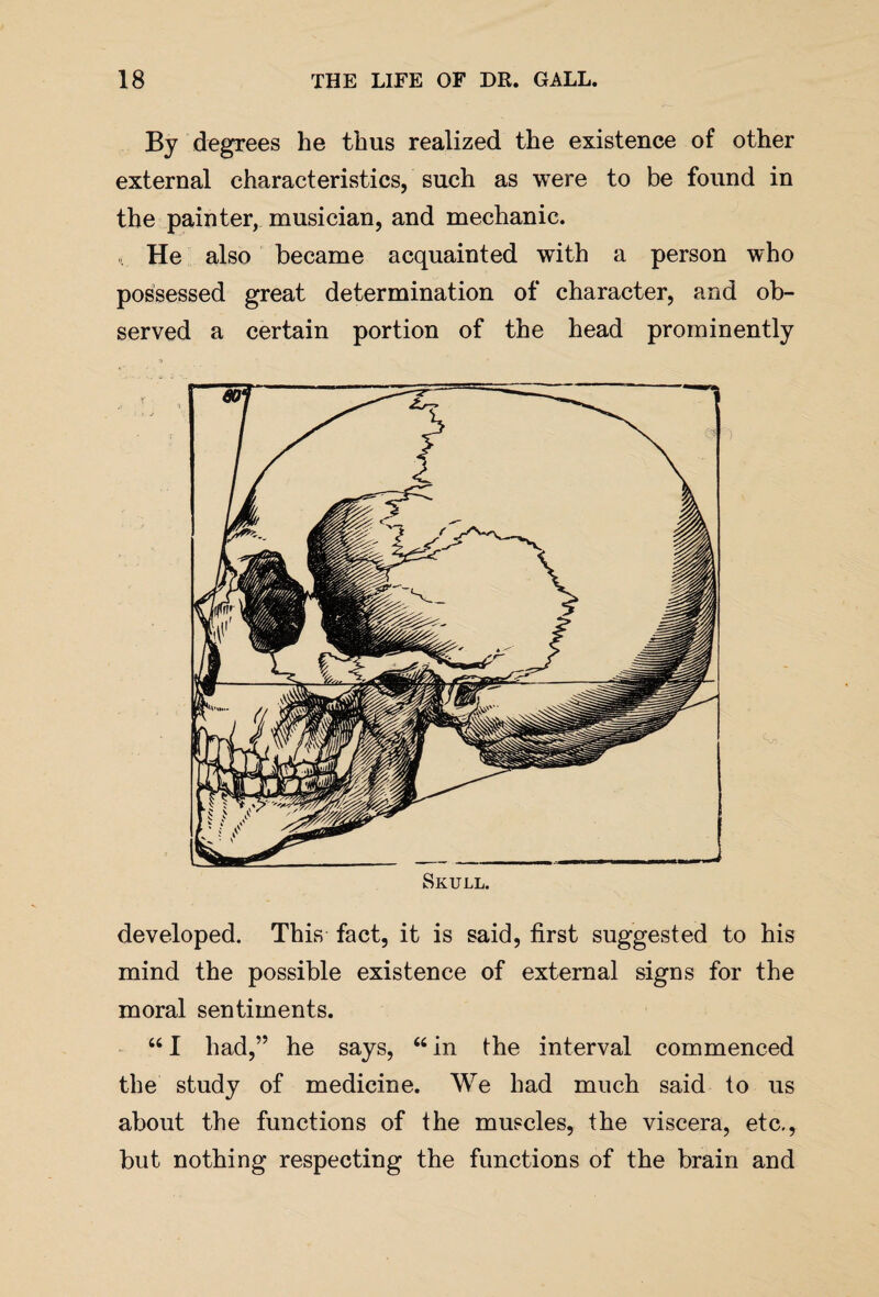 By degrees he thus realized the existence of other external characteristics, such as were to be found in the painter, musician, and mechanic. He also became acquainted with a person who possessed great determination of character, and ob¬ served a certain portion of the head prominently developed. This fact, it is said, first suggested to his mind the possible existence of external signs for the moral sentiments. “ I had,” he says, “ in the interval commenced the study of medicine. We had much said to us about the functions of the muscles, the viscera, etc., but nothing respecting the functions of the brain and