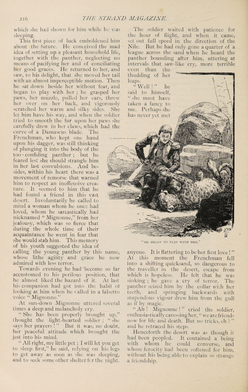 which she had shown for him while he was sleeping. This first piece of luck emboldened him about the future. He conceived the mad idea of setting up a pleasant household life, together with the panther, neglecting no means of pacifying her and of conciliating her good graces. He returned to her, and saw, to his delight, that she moved her tail with an almost imperceptible motion. Then he sat down beside her without fear, and began to play with her ; he grasped her paws, her muzzle, pulled her ears, threw her over on her back, and vigorously scratched her warm and silky sides. She let him have his way, and when the soldier tried to smooth the fur upon her paws she carefully drew in her claws, which had the curve of a Damascus blade. The Frenchman, who kept one hand upon his dagger, was still thinking of plunging it into the body of the too-confiding panther; but he feared lest she should strangle him in her last convulsions. And be¬ sides, within his heart there was a movement of remorse that warned him to respect an inoffensive crea¬ ture. It seemed to him that he had found a friend in this vast desert. Involuntarily he called to mind a woman whom he once had loved, whom he sarcastically had nicknamed “ Mignonne,” from her jealousy, which was so fierce that during the whole time of their acquaintance he went in fear that she would stab him. This memory of his youth suggested the idea of calling the young panther by this name, whose lithe agility and grace he now admired with less terror. Towards evening he had'become so far accustomed to his perilous position, that he almost liked the hazard of it. At last his companion had got into the habit of looking at him Avhen he called in a falsetto voice “ Mignonne.” At sun-down Mignonne uttered several times a deep and melancholy cry. “ She has been properly brought up, thought the light-hearted soldier; ‘Ah says her prayers ! ’’ But it was, no doubt, her peaceful attitude Avhich brought the jest into his mind. ‘‘ All right, my little pet ; I Avill let you get to sleep first,” he said, relying on his legs to get aAvay as soon as she Avas sleeping, and to seek some other shelter for the night. The soldier Avaited Avith patience for the hour of flight, and AAdien it came, set out full speed in the direction of the Nile. But he had only gone a quarter of a league across the sand Avhen he heard the panther bounding after him, uttering at intervals that saAv-like cry, more terrible even than the thudding of her leaps. “Well!” he said to himself, “ she must have taken a fancy to me. Perhaps she has never ‘ HE BEGAN TO PLAY WITH HER. e anyone. It is flattering to be her first love ! ” At this moment the Frenchman fell into a shifting quicksand, so dangerous to the traveller in the desert, escape from AAdrich is hopeless. He felt that he Avas sinking ; he gave a cry of terror. The panther seized him by the collar Avith her teeth, and springing backAAmxls Avith stupendous Augour dreAV him from the gulf as if by magic. “ Ah ! Mignonne ! ” cried the soldier, en thusiastically caressing her, “ we are friends now for life and death. But no tricks, eh ?  and he retraced his steps. Henceforth the desert was as though it had been peopled. It contained a being Avith Avhom he could converse, and Avhose ferocity had been softened for him, AA'ithout his being able to explain so strange a friendship.