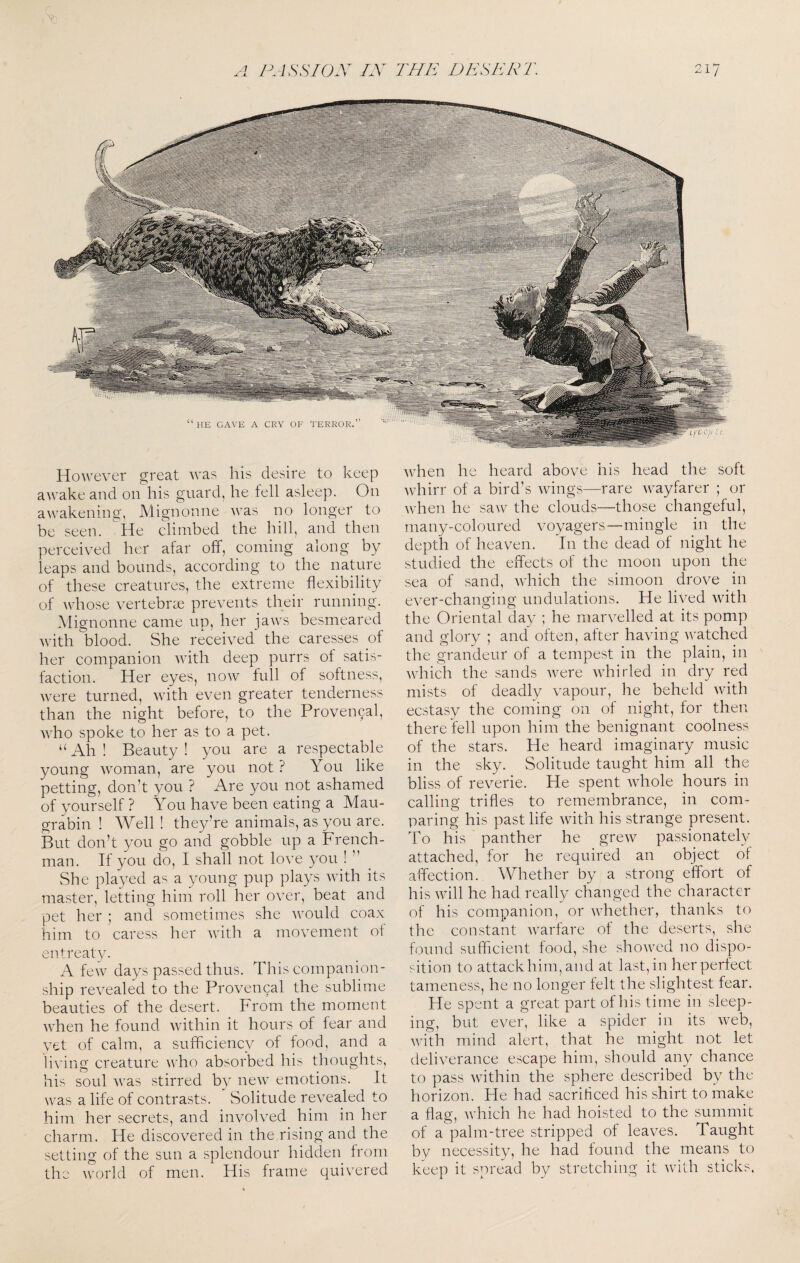 J. JL However great was his desire to keep awake and on his guard, he fell asleep. On awakening, Mignonne was no longer to be seen. He climbed the hill, and then perceived her afar off, coining along by leaps and bounds, according to the nature of these creatures, the extreme flexibility of whose vertebrae prevents their running. Mignonne came up, her jaws besmeared with blood. She received the caresses of her companion with deep purrs of satis¬ faction. Her eyes, now full of softness, were turned, with even greater tenderness than the night before, to the Proven9al, Avho spoke to her as to a pet. “Ah ! Beauty ! you are a respectable young woman, are you not ? You like petting, don’t you ? Are you not ashamed of yourself ? You have been eating a Mau- grabin ! Well ! they’re animals, as you are. But don’t you go and gobble up a French¬ man. If you do, I shall not love you ! ’’ She played as a young pup plays with its master, letting him roll her over, beat and pet her ; and sometimes she would coax him to caress her with a movement ot entreaty. A few days passed thus. This companion¬ ship revealed to the Provencal the sublime beauties of the desert. From the moment when he found within it hours of fear and yet of calm, a sufflcienc}^ of food, and a living creature who absorbed his thoughts, his soul was stirred by new emotions. It was a life of contrasts. Solitude revealed to him her secrets, and involved him in her charm. He discovered in the rising and the setting of the sun a splendour hidden from the world of men. His frame quivered when he heard above his head the soft whirr of a bird’s wings—rare wayfarer ; or when he saw the clouds—those changeful, many-coloured voyagers—mingle in the depth of heaven. In the dead of night he studied the effects of the moon upon the sea of sand, which the simoon drove in ever-changing undulations. He lived with the Oriental day ; he marvelled at its pomp and glory ; and often, after having watched the grandeur of a tempest in the plain, in which the sands were whirled in dry red mists of deadly vapour, he beheld with ecstasy the coming on of night, for then there fell upon him the benignant coolness of the stars. He heard imaginary music in the sky. Solitude taught him all the bliss of reverie. He spent whole hours in calling trifles to remembrance, in com¬ paring his past life with his strange present. To his panther he grew passionately attached, for he required an object of affection. Whether by a strong effort of his will he had really changed the character of his companion, or whether, thanks to the constant warfare ot the deserts, she found sufficient food, she showed no dispo¬ sition to attack him, and at last, in her perfect tameness, he no longer felt the slightest fear. He spent a great part of his time in sleep¬ ing, but ever, like a spider in its web, with mind alert, that he might not let deliverance escape him, should any chance to pass within the sphere described by the horizon. He had sacrificed his shirt to make a flag, which he had hoisted to the summit of a palm-tree stripped of leaves. Taught by necessity, he had found the means to keep it spread by stretching it with sticks.