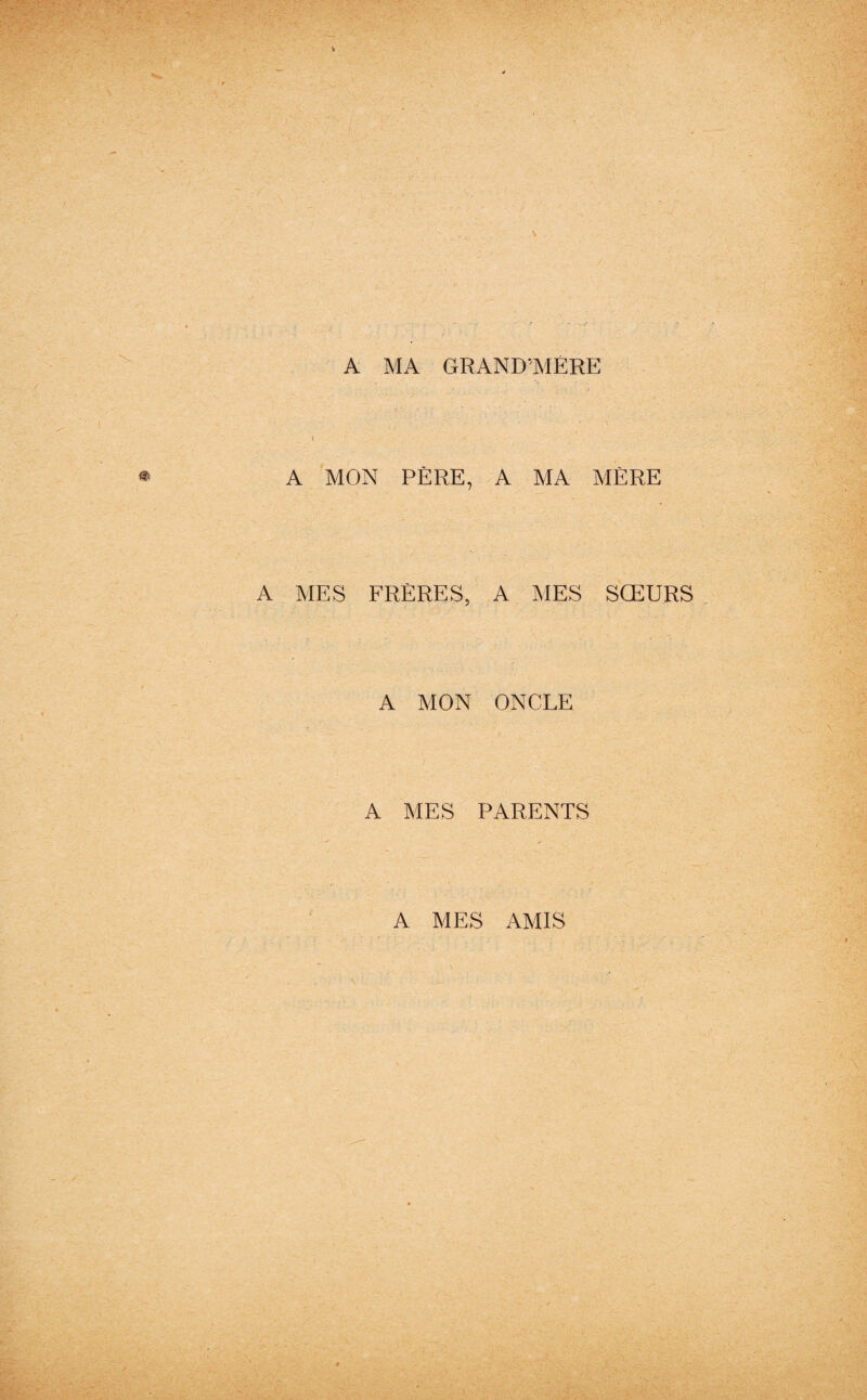 A MA GRAND'MERE A MON PÈRE, A MA MÈRE A MES FRÈRES, A MES SŒURS A MON ONCLE A MES PARENTS A MES AMIS