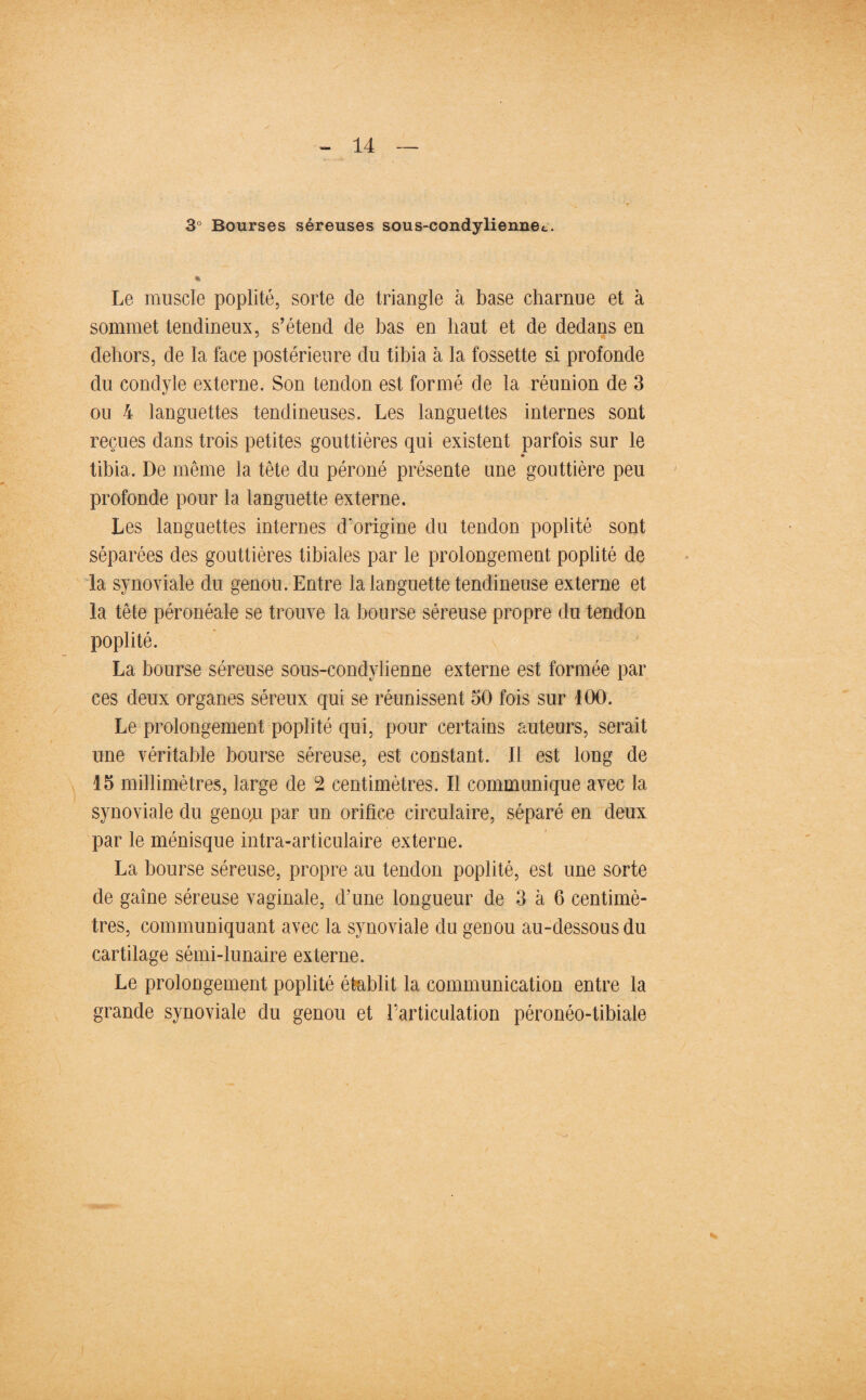 3° Bourses séreuses sous-condyliennet. Le muscle poplité, sorte de triangle à base charnue et à sommet tendineux, s’étend de bas en haut et de dedans en dehors, de la face postérieure du tibia à la fossette si profonde du condyle externe. Son tendon est formé de la réunion de 3 ou 4 languettes tendineuses. Les languettes internes sont reçues dans trois petites gouttières qui existent parfois sur le tibia. De même la tête du péroné présente une gouttière peu profonde pour la languette externe. Les languettes internes d'origine du tendon poplité sont séparées des gouttières tibiales par le prolongement poplité de la synoviale du genou. Entre la languette tendineuse externe et la tête péronéale se trouve la bourse séreuse propre du tendon poplité. La bourse séreuse sous-condylienne externe est formée par ces deux organes séreux qui se réunissent 50 fois sur 100. Le prolongement poplité qui, pour certains auteurs, serait une véritable bourse séreuse, est constant. Il est long de 15 millimètres, large de 2 centimètres. Il communique avec la synoviale du genoyi par un orifice circulaire, séparé en deux par le ménisque intra-articulaire externe. La bourse séreuse, propre au tendon poplité, est une sorte de gaine séreuse vaginale, d’une longueur de 3 à 6 centimè¬ tres, communiquant avec la synoviale du genou au-dessous du cartilage sémi-lunaire externe. Le prolongement poplité établit la communication entre la grande synoviale du genou et l’articulation péronéo-tibiale