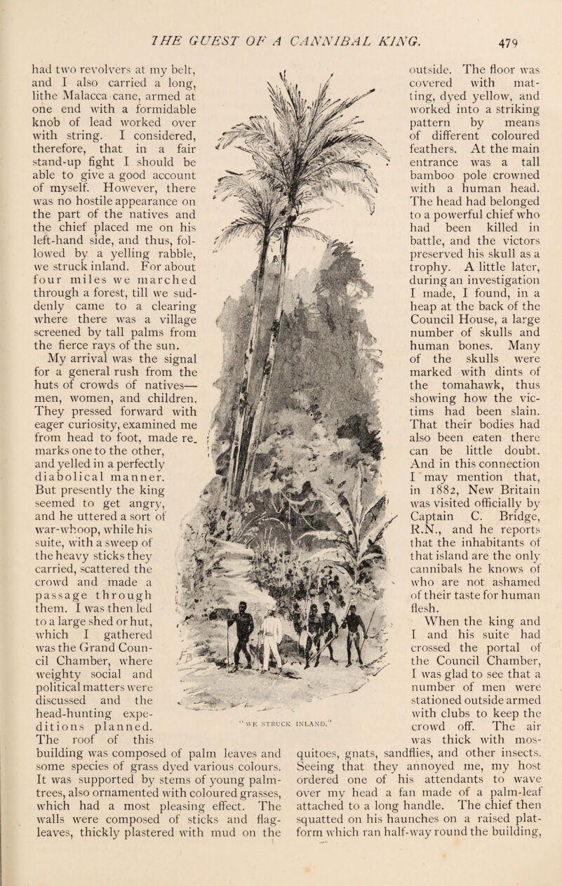 had two revolvers at my belt, and I also carried a long, lithe Malacca cane, armed at one end with a formidable knob of lead worked over with string. I considered, therefore, that in a fair stand-up fight I should be able to give a good account of myself. However, there was no hostile appearance on the part of the natives and the chief placed me on his left-hand side, and thus, fol¬ lowed by a yelling rabble, we struck inland. For about four miles we marched through a forest, till we sud¬ denly came to a clearing where there was a village screened by tall palms from the fierce rays of the sun. My arrival was the signal for a general rush from the huts of crowds of natives— men, women, and children. They pressed forward with eager curiosity, examined me from head to foot, made re. f marks one to the other, • and yelled in a perfectly diabolical manner. But presently the king seemed to get angry, and he uttered a sort of war-whoop, while his suite, with a sweep of the heavy sticks they carried, scattered the crowd and made a passage through them. I was then led to a large shed or hut, , which I gathered was the Grand Coun¬ cil Chamber, where weighty social and political matters were discussed and the head-hunting expe¬ ditions planned. The roof of this building was composed of palm leaves and some species of grass dyed various colours. It was supported by stems of young palm- trees, also ornamented with coloured grasses, which had a most pleasing effect. The walls were composed of sticks and flag- leaves, thickly plastered with mud on the WE STRUCK INLAND. outside. The floor was covered with mat¬ ting, dyed yellow, and worked into a striking pattern by means of different coloured feathers. At the main entrance was a tall bamboo pole crowned with a human head. The head had belonged to a powerful chief who had been killed in battle, and the victors preserved his skull as a trophy. A little later, during an investigation I made, I found, in a heap at the back of the Council House, a large number of skulls and human bones. Many of the skulls were marked with dints of the tomahawk, thus showing how the vic¬ tims had been slain. That their bodies had also been eaten there can be little doubt. And in this connection I may mention that, in 1882, New Britain was visited officially by Captain C. Bridge, R.N., and he reports that the inhabitants of that island are the only cannibals he knows of who are not ashamed of their taste for human flesh. When the king and I and his suite had crossed the portal of the Council Chamber, I was glad to see that a number of men were stationed outside armed with clubs to keep the crowd off. The air was thick with mos¬ quitoes, gnats, sandflies, and other insects. Seeing that they annoyed me, my host ordered one of his attendants to wave over my head a fan made of a palm-leaf attached to a long handle. The chief then squatted on his haunches on a raised plat¬ form which ran half-way round the building,