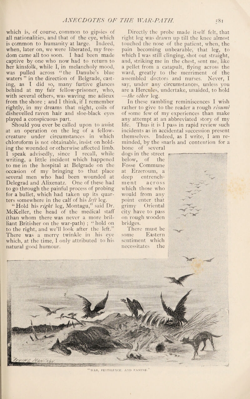 which is, of course, common to gipsies of all nationalities, and that of the eye, which is common to humanity at large. Indeed, when, later on, we were liberated, my free¬ dom came all too soon. I had been made captive by one who now had to return to her kinsfolk, while I, in melancholy mood, was pulled across “the Danube’s blue waters ” in the direction of Belgrade, cast¬ ing, as I did so, many furtive glances behind at my fair fellow-prisoner, who, with several others, was waving me adieux from the shore ; and I think, if I remember rightly, in my dreams that night, coils of dishevelled raven hair and sloe-black eyes played a conspicuous part. Should you ever be called upon to assist at an operation on the leg of a fellow- creature under circumstances in which chloroform is not obtainable, insist on hold¬ ing the wounded or otherwise affected limb. I speak advisedly, since I recall, while writing, a little incident which happened to me in the hospital at Belgrade on the occasion of my bringing to that place several men who had been wounded at Delegrad and Alixenatz. One of these had to go through the painful process of probing for a bullet, which had taken up its quar¬ ters somewhere in the calf of his left leg. “ Hold his right leg, Montagu,” said Dr. McKeller, the head of the medical staff (than whom there was never a more bril¬ liant Britisher on the war-path) ; “hold on to the right, and we’ll look alter the left.” There was a merry twinkle in his eye which, at the time, I only attributed to his natural good humour. Directly the probe made itself felt, that right leg was drawn up till the knee almost touched the nose of the patient, when, the pain becoming unbearable, that leg, to which I was still clinging, shot out straight, and, striking me in the chest, sent me, like a pellet from a catapult, flying across the ward, greatly to the merriment of the assembled doctors and nurses. Never, I say, under any circumstances, unless you are a Hercules, undertake, unaided, to hold —the other leg. In these rambling reminiscences I wish rather to give to the reader a rough resume of some few of my experiences than make any attempt at an abbreviated story of my life. Thus it is I pass in rapid review such incidents as in accidental succession present themselves. Indeed, as I write, I am re¬ minded, by the snarls and contention for a bone of several dogs in the street below, of the Fosse Commune at Erzeroum, a deep entrench¬ ment across wrhich those who would from any point enter that grimy Oriental city have to pass on rough wooden bridges. There must be some Eastern sentiment which necessitates the “>V4R, PESTILENCE. AND FAMINE.” \