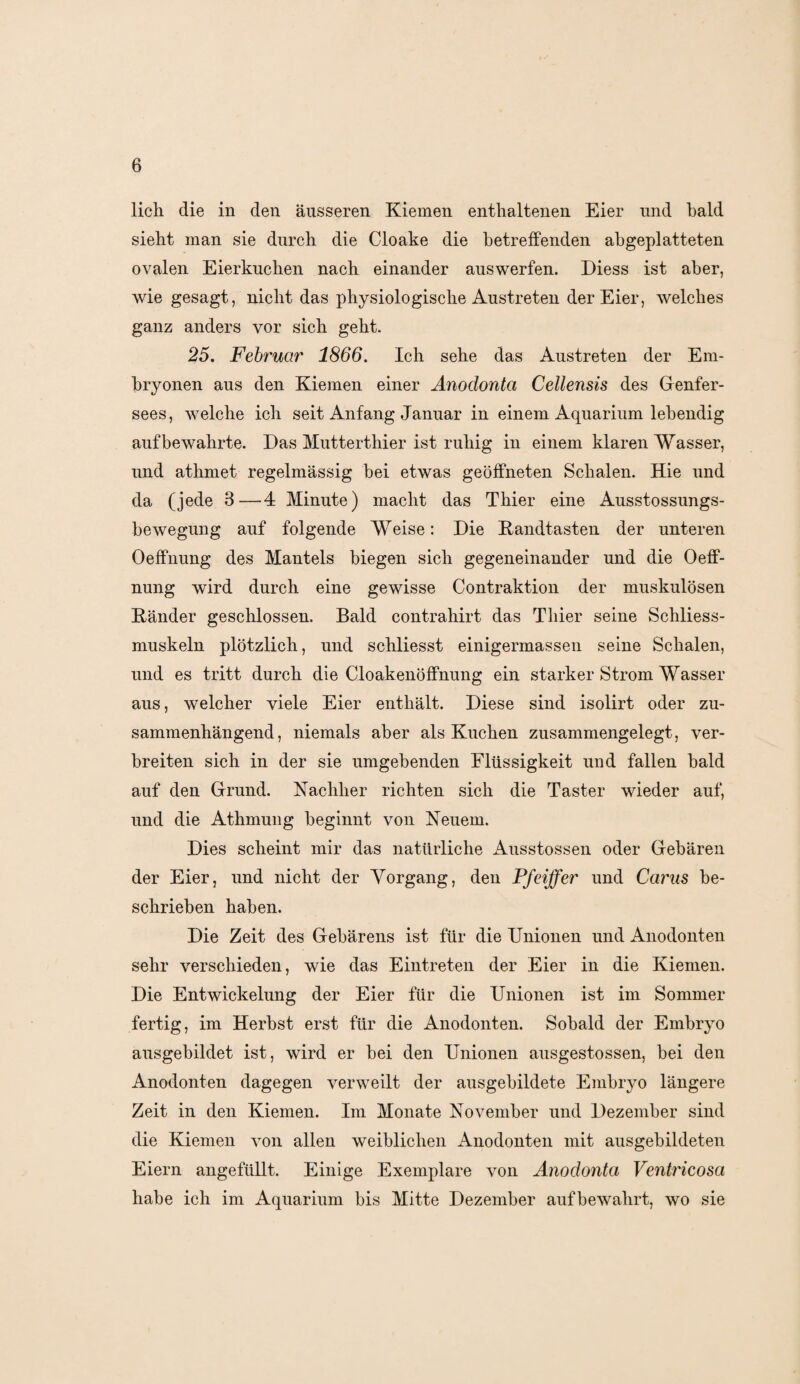 lieh die in den äusseren Kiemen enthaltenen Eier und bald sieht man sie durch die Cloake die betreffenden abgeplatteten ovalen Eierkuchen nach einander auswerfen. Diess ist aber, wie gesagt, nicht das physiologische Austreten der Eier, welches ganz anders vor sich geht. 25. Februar 1866. Ich sehe das Austreten der Em¬ bryonen aus den Kiemen einer Anodonta Cellensis des Genfer- sees, welche ich seit Anfang Januar in einem Aquarium lebendig auf bewahrte. Das Mutterthier ist ruhig in einem klaren Wasser, und athmet regelmässig bei etwas geöffneten Schalen. Hie und da (jede 3—4 Minute) macht das Thier eine Ausstossungs- bewegung auf folgende Weise: Die Kandtasten der unteren 0effnung des Mantels biegen sich gegeneinander und die Oeff- nung wird durch eine gewisse Contraktion der muskulösen Künder geschlossen. Bald contrahirt das Thier seine Schliess- muskeln plötzlich, und schliesst einigermassen seine Schalen, und es tritt durch die Cloakenöffnung ein starker Strom Wasser aus, welcher viele Eier enthält. Diese sind isolirt oder zu¬ sammenhängend, niemals aber als Kuchen zusammengelegt, ver¬ breiten sich in der sie umgebenden Flüssigkeit und fallen bald auf den Grund. Nachher richten sich die Taster wieder auf, und die Athmung beginnt von Neuem. Dies scheint mir das natürliche Ausstossen oder Gebären der Eier, und nicht der Vorgang, den Pfeiffer und Cants be¬ schrieben haben. Die Zeit des Gebärens ist für die Unionen und Anodonten sehr verschieden, wie das Eintreten der Eier in die Kiemen. Die Entwickelung der Eier für die Unionen ist im Sommer fertig, im Herbst erst für die Anodonten. Sobald der Embryo ausgebildet ist, wird er bei den Unionen ausgestossen, bei den Anodonten dagegen verweilt der ausgebildete Embryo längere Zeit in den Kiemen. Im Monate November und Dezember sind die Kiemen von allen weiblichen Anodonten mit ausgebildeten Eiern angefüllt. Einige Exemplare von Anodonta Ventricosa habe ich im Aquarium bis Mitte Dezember auf bewahrt, wo sie
