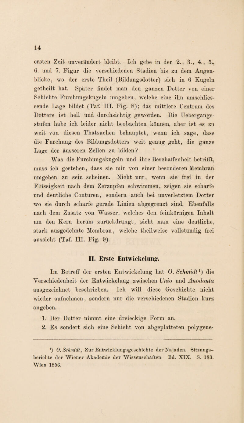 ersten Zeit unverändert bleibt. lob gebe in der 2., 3., 4., 5., 6. und 7. Figur die verschiedenen Stadien bis zu dem Augen¬ blicke, wo der erste Theil (Bildungsdotter) sich in 6 Kugeln getheilt hat. Später findet man den ganzen Dotter von einer Schichte Furchungskugeln umgeben, welche eine ihn umschlies- sende Lage bildet (Taf. III. Fig. 8); das mittlere Centrum des Dotters ist hell und durchsichtig geworden. Die Uebergangs- stufen habe ich leider nicht beobachten können, aber ist es zu weit von diesen Thatsachen behauptet, wenn ich sage, dass die Furchung des Bildungsdotters weit genug geht, die ganze Lage der äusseren Zellen zu bilden? Was die Furchungskugeln und ihre Beschaffenheit betrifft, muss ich gestehen, dass sie mir von einer besonderen Membran umgeben zu sein scheinen. Nicht nur, wenn sie frei in der Flüssigkeit nach dem Zerzupfen schwimmen, zeigen sie scharfe und deutliche Conturen, sondern auch bei unverletztem Dotter wo sie durch scharfe gerade Linien abgegrenzt sind. Ebenfalls nach dem Zusatz von Wasser, welches den feinkörnigen Inhalt um den Kern herum zurückdrängt, sieht man eine deutliche, stark ausgedehnte Membran, welche tlieilweise vollständig frei aussieht (Taf. III. Fig. 9). II. Erste Entwickelung1. Im Betreff der ersten Entwickelung hat 0. Schmidt1) die Verschiedenheit der Entwickelung zwischen Unio und Anodonta ausgezeichnet beschrieben. Ich will diese Geschichte nicht wieder aufnehmen, sondern nur die verschiedenen Stadien kurz angeben. 1. Der Dotter nimmt eine dreieckige Form an. 2. Es sondert sich eine Schicht von abgeplatteten polygene- *) 0. Schmidt, Zur Entwicklungsgeschichte der Na.jaden. Sitzungs¬ berichte der Wiener Akademie der Wissenschaften. Bd. XIX. S. 183. Wien 1856.