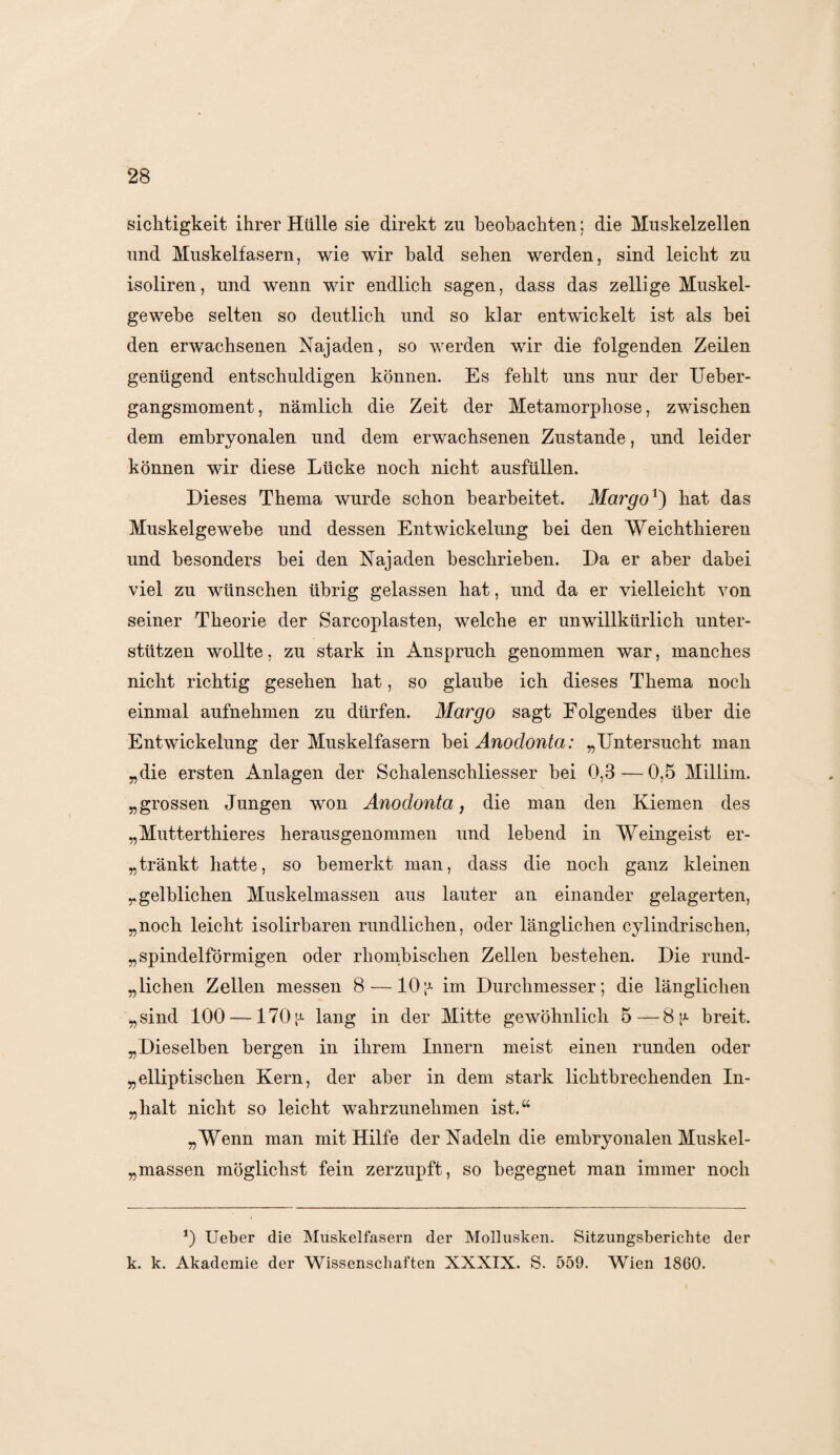 sichtigkeit ihrer Hülle sie direkt zu beobachten: die Muskelzellen und Muskelfasern, wie wir bald sehen werden, sind leicht zu isoliren, und wenn wir endlich sagen, dass das zellige Muskel¬ gewebe selten so deutlich und so klar entwickelt ist als bei den erwachsenen Najaden, so werden wir die folgenden Zeilen genügend entschuldigen können. Es fehlt uns nur der Ueber- gangsmoment, nämlich die Zeit der Metamorphose, zwischen dem embryonalen und dem erwachsenen Zustande, und leider können wir diese Lücke noch nicht ausfüllen. Dieses Thema wurde schon bearbeitet. Margo1) hat das Muskelgewebe und dessen Entwickelung bei den Weichthieren und besonders bei den Najaden beschrieben. Da er aber dabei viel zu wünschen übrig gelassen hat, und da er vielleicht von seiner Theorie der Sarcoplasten, welche er unwillkürlich unter¬ stützen wollte, zu stark in Anspruch genommen war, manches nicht richtig gesehen hat, so glaube ich dieses Thema noch einmal aufnehmen zu dürfen. Margo sagt Folgendes über die Entwickelung der Muskelfasern bei Anodonta: „Untersucht man „die ersten Anlagen der Schalenschliesser bei 0,3—0,5 Millim. „grossen Jungen won Anodonta, die man den Kiemen des „Mutterthieres herausgenommen und lebend in Weingeist er¬ tränkt hatte, so bemerkt man, dass die noch ganz kleinen „gelblichen Muskelmassen aus lauter an einander gelagerten, „noch leicht isolirbaren rundlichen, oder länglichen cylindrischen, „spindelförmigen oder rhombischen Zellen bestehen. Die rund- „liehen Zellen messen 8 —10p- im Durchmesser; die länglichen „sind 100 — 170 p- lang in der Mitte gewöhnlich 5—8 p- breit. „Dieselben bergen in ihrem Innern meist einen runden oder „elliptischen Kern, der aber in dem stark lichtbrechenden In- „halt nicht so leicht wahrzunehmen ist.u „Wenn man mit Hilfe der Nadeln die embryonalen Muskel- „massen möglichst fein zerzupft, so begegnet man immer noch *) Ueber die Muskelfasern der Mollusken. Sitzungsberichte der k. k. Akademie der Wissenschaften XXXIX. S. 559. Wien 1860.