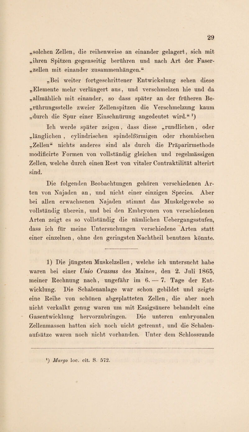 „solchen Zellen, die reihenweise an einander gelagert, sich mit „ihren Spitzen gegenseitig berühren und nach Art der Faser- gellen mit einander Zusammenhängen.“ „Bei weiter fortgeschrittener Entwickelung sehen diese „Elemente mehr verlängert aus, und verschmelzen hie und da „allmählich mit einander, so dass später an der früheren Be- „rührungsstelle zweier Zellenspitzen die Verschmelzung kaum „durch die Spur einer Einschnürung angedeutet wird.“ *) Ich werde später zeigen, dass diese „rundlichen, oder „länglichen , cylindrischen spindelförmigen oder rhombischen „Zellen“ nichts anderes sind als durch die Präparirmethode modificirte Formen von vollständig gleichen und regelmässigen Zellen, welche durch einen Best von vitaler Contraktilität alterirt sind. Die folgenden Beobachtungen gehören verschiedenen Ar¬ ten von Najaden an, und nicht einer einzigen Species. Aber bei allen erwachsenen Najaden stimmt das Muskelgewebe so vollständig überein, und bei den Embryonen von verschiedenen Arten zeigt es so vollständig die nämlichen Uebergangsstufen, dass ich für meine Untersuchungen verschiedene Arten statt einer einzelnen, ohne den geringsten Nachtheil benutzen könnte. 1) Die jüngsten Muskelzellen, welche ich untersucht habe waren bei einer Unio Crassus des Maines, den 2. Juli 1865, meiner Bechnung nach, ungefähr im 6. — 7. Tage der Ent¬ wicklung. Die Schalenanlage war schon gebildet und zeigte eine Beihe von schönen abgeplatteten Zellen, die aber noch nicht verkalkt genug waren um mit Essigsäuere behandelt eine Gasentwicklung hervorzubringen. Die unteren embryonalen Zellenmassen hatten sich noch uicht getrennt, und die Schalen¬ aufsätze waren noch nicht vorhanden. Unter dem Schlossrande