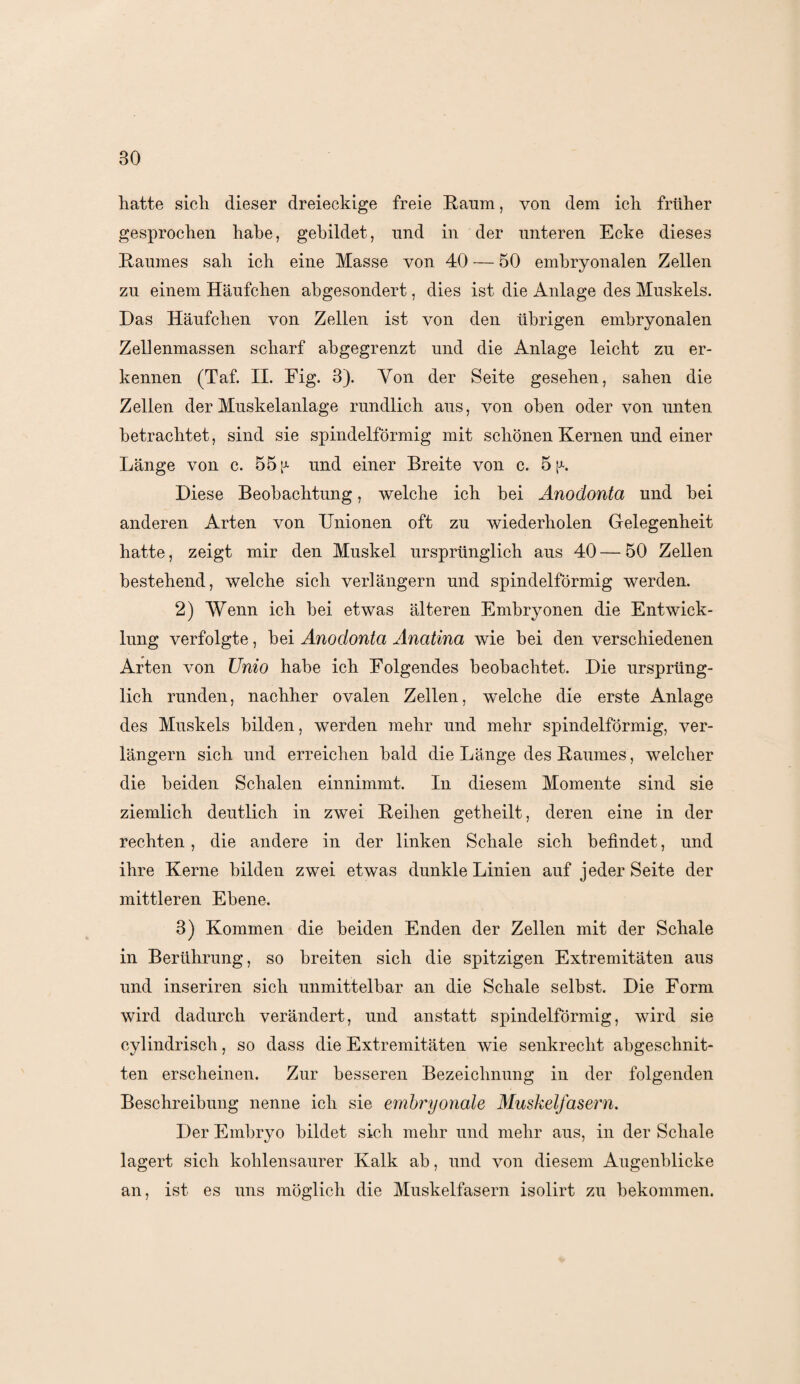 hatte sich dieser dreieckige freie Raum, von dem ich früher gesprochen habe, gebildet, nnd in der unteren Ecke dieses Raumes sah ich eine Masse von 40 — 50 embryonalen Zellen zu einem Häufchen abgesondert, dies ist die Anlage des Muskels. Das Häufchen von Zellen ist von den übrigen embryonalen Zellenmassen scharf abgegrenzt und die Anlage leicht zu er¬ kennen (Taf. II. Eig. 3). Yon der Seite gesehen, sahen die Zellen der Muskelanlage rundlich aus, von oben oder von unten betrachtet, sind sie spindelförmig mit schönen Kernen und einer Länge von c. 55 p und oiner Breite von c. 5 p. Diese Beobachtung, welche ich hei Anodonta und hei anderen Arten von Unionen oft zu wiederholen Gelegenheit hatte, zeigt mir den Muskel ursprünglich aus 40 — 50 Zellen bestehend, welche sich verlängern und spindelförmig werden. 2) Wenn ich hei etwas älteren Embryonen die Entwick¬ lung verfolgte, hei Anodonta Anatina wie hei den verschiedenen Arten von Unio habe ich Folgendes beobachtet. Die ursprüng¬ lich runden, nachher ovalen Zellen, welche die erste Anlage des Muskels bilden, werden mehr und mehr spindelförmig, ver¬ längern sich und erreichen bald die Länge des Raumes, welcher die beiden Schalen einnimmt. In diesem Momente sind sie ziemlich deutlich in zwei Reihen getheilt, deren eine in der rechten, die andere in der linken Schale sich befindet, und ihre Kerne bilden zwei etwas dunkle Linien auf jeder Seite der mittleren Ebene. 3) Kommen die beiden Enden der Zellen mit der Schale in Berührung, so breiten sich die spitzigen Extremitäten aus und inseriren sich unmittelbar an die Schale selbst. Die Form wird dadurch verändert, und anstatt spindelförmig, wird sie cylindrisch, so dass die Extremitäten wie senkrecht abgeschnit¬ ten erscheinen. Zur besseren Bezeichnung in der folgenden Beschreibung nenne ich sie embryonale Muskelfasern. Der Embryo bildet sich mehr und mehr aus, in der Schale lagert sich kohlensaurer Kalk ab, und von diesem Augenblicke an, ist es uns möglich die Muskelfasern isolirt zu bekommen.