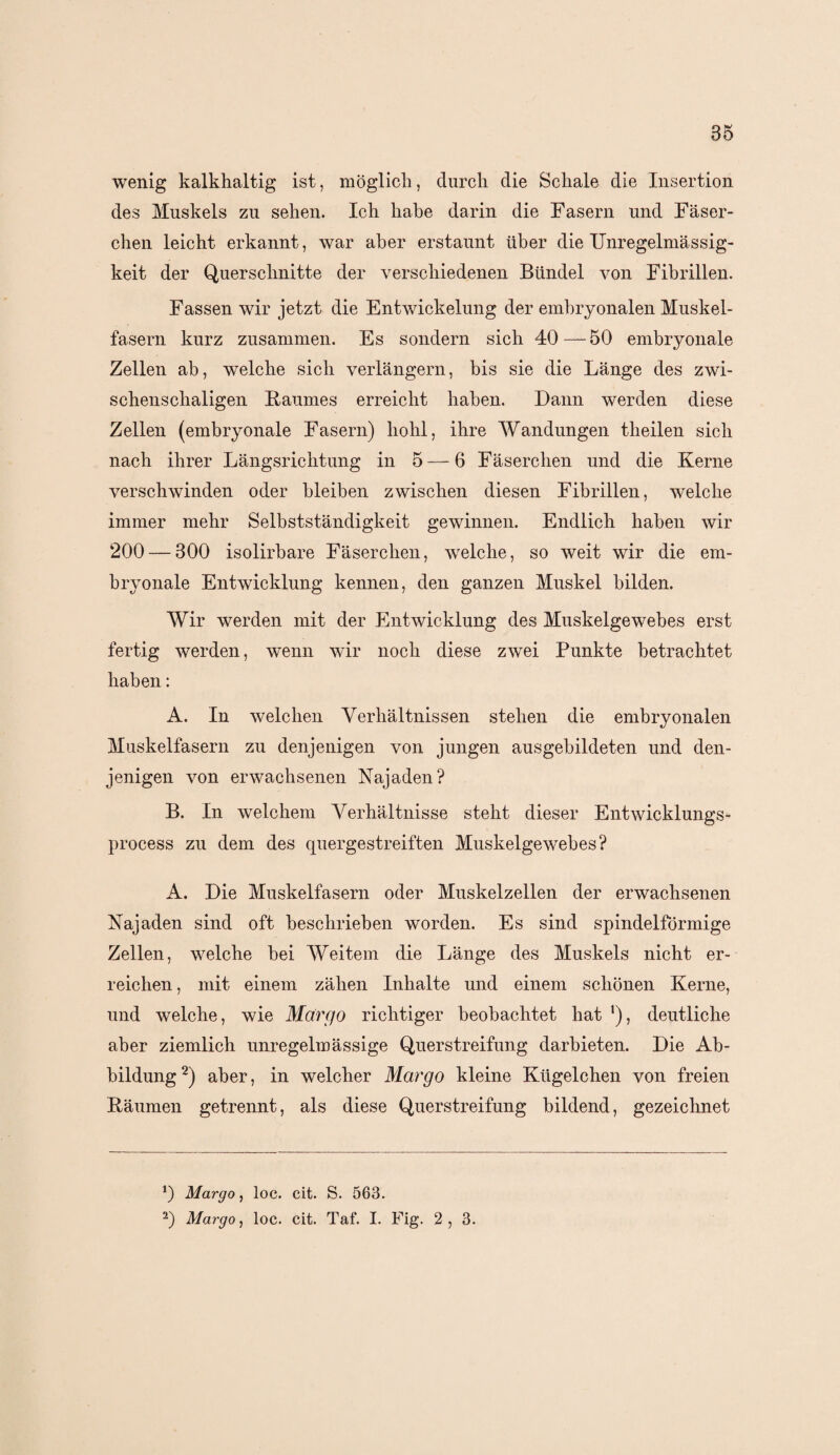 wenig kalkhaltig ist, möglich, durch die Schale die Insertion des Muskels zu sehen. Ich habe darin die Fasern und Fäser¬ chen leicht erkannt, war aber erstaunt über die Unregelmässig¬ keit der Querschnitte der verschiedenen Bündel von Fibrillen. Fassen wir jetzt die Entwickelung der embryonalen Muskel¬ fasern kurz zusammen. Es sondern sich 40—50 embryonale Zellen ab, welche sich verlängern, bis sie die Länge des zwi- schenschaligen Baumes erreicht haben. Dann werden diese Zellen (embryonale Fasern) hohl, ihre Wandungen theilen sich nach ihrer Längsrichtung in 5 — 6 Fäserchen und die Kerne verschwinden oder bleiben zwischen diesen Fibrillen, welche immer mehr Selbstständigkeit gewinnen. Endlich haben wir 200 — 300 isolirbare Fäserchen, welche, so weit wir die em¬ bryonale Entwicklung kennen, den ganzen Muskel bilden. Wir werden mit der Entwicklung des Muskelgewebes erst fertig werden, wenn wir noch diese zwei Punkte betrachtet haben: A. In welchen Verhältnissen stehen die embryonalen Muskelfasern zu denjenigen von jungen ausgebildeten und den¬ jenigen von erwachsenen Najaden? B. In welchem Verhältnisse steht dieser Entwicklungs- process zu dem des quergestreiften Muskelgewebes? A. Die Muskelfasern oder Muskelzellen der erwachsenen Kajaden sind oft beschrieben worden. Es sind spindelförmige Zellen, welche bei Weitem die Länge des Muskels nicht er¬ reichen , mit einem zähen Inhalte und einem schönen Kerne, und welche, wie Margo richtiger beobachtet hat ’), deutliche aber ziemlich unregelmässige Querstreifung darbieten. Die Ab¬ bildung* 2) aber, in welcher Margo kleine Kügelchen von freien Bäumen getrennt, als diese Querstreifung bildend, gezeichnet *) Margo, loc. cit. S. 563. 2) Margo, loc. cit. Taf. I. Fig. 2 , 3.