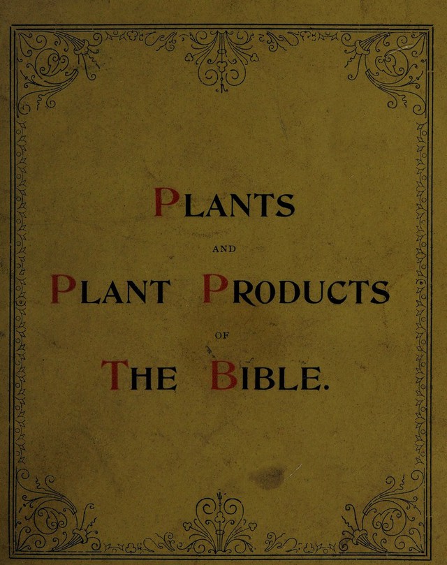 No text description is available for this image