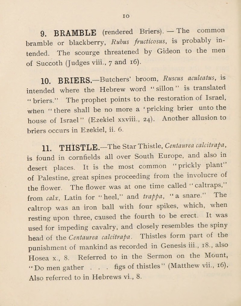 IO 9. BRAMBLE (rendered Briers). — The common bramble or blackberry, Rubus fructicosus, is probably in¬ tended. The scourge threatened by Gideon to the men of Succoth (judges viii., 7 and 16). 10. BRIERS.—Butchers’ broom, Ruscus aculeatus, is intended where the Hebrew word “ sillon ” is translated “ briers.” The prophet points to the restoration of Israel, when “there shall be no more a ‘pricking brier unto the house of Israel” (Ezekiel xxviii., 24). Another allusion to briers occurs in Ezekiel, ii. 6. 11. THISTLE.—The Star Thistle, Centanrea calcitrapa, is found in cornfields all over South Europe, and also in desert places. It is the most common “piickh plant of Palestine, great spines proceeding from the involucre of the flower. The flower was at one time called “ caltraps,” from calx, Latin for “heel,” and trappa, “a snare.” The caltrop was an iron ball with four spikes, which, when resting upon three, caused the fourth to be erect. It was used for impeding cavalry, and closely resembles the spiny head of the Centaurea calcitrapa. Thistles form part of the punishment of mankind as recorded in Genesis iii., 18., also Hosea x., 8. Referred to in the Sermon on the Mount, “Do men gather . . . figs of thistles” (Matthew vii., 16), Also referred to in Hebrews vi., 8.