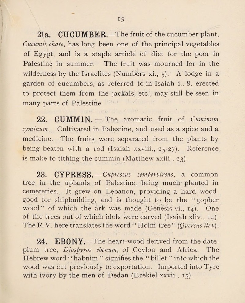 !5 21a. CUCUMBER. —-The fruit of the cucumber plant, Cucumis chate, has long been one of the principal vegetables of Egypt, and is a staple article of diet for the poor in Palestine in summer. The fruit was mourned for in the wilderness by the Israelites (Numbers xi., 5). A lodge in a garden of cucumbers, as referred to in Isaiah i., 8, erected to protect them from the jackals, etc., may still be seen in many parts of Palestine. 22. CUMMIN. — The aromatic fruit of Cuminum cyminum. Cultivated in Palestine, and used as a spice and a medicine. The fruits were separated from the plants by being beaten with a rod (Isaiah xxviii., 25-27). Reference is make to tithing the cummin (Matthew xxiii., 23). 23. CYPRESS. — Cupressus sempervirens, a common tree in the uplands of Palestine, being much planted in cemeteries. It grew on Lebanon, providing a hard wood good for shipbuilding, and is thought to be the “gopher wood” of which the ark was made (Genesis vi., 14). One of the trees out of which idols were carved (Isaiah xliv., 14) The R. V. here translates the word ‘ ‘ Holm-tree ’ ’ (Quercus ilex). 24. EBONY.—T he heart-wood derived from the date- plum tree, Diospyros ebenum, of Ceylon and Africa. The Hebrew word“habnim” signifies the “ billet ” into which the wood was cut previously to exportation. Imported into Tyre