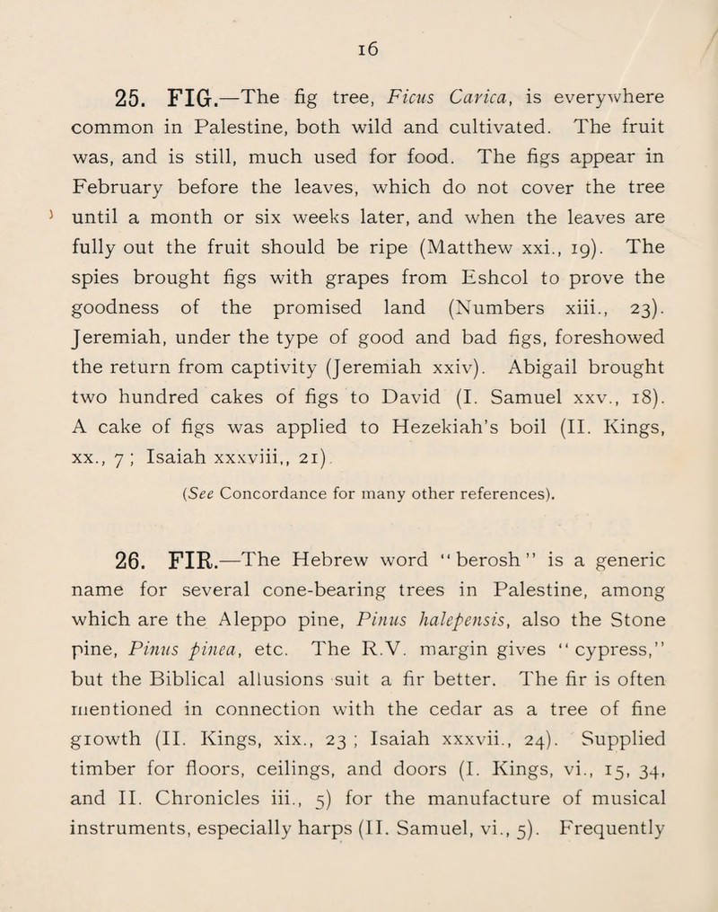 25. FIG .—The fig tree, Ficus Carica, is everywhere common in Palestine, both wild and cultivated. The fruit was, and is still, much used for food. The figs appear in February before the leaves, which do not cover the tree until a month or six weeks later, and when the leaves are fully out the fruit should be ripe (Matthew xxi., 19). The spies brought figs with grapes from Eshcol to prove the goodness of the promised land (Numbers xiii., 23). Jeremiah, under the type of good and bad figs, foreshowed the return from captivity (Jeremiah xxiv). Abigail brought two hundred cakes of figs to David (I. Samuel xxv., 18). A cake of figs was applied to Hezekiah’s boil (II. Kings, xx., 7; Isaiah xxxviii,, 21) (See Concordance for many other references). 26. FIR .—The Hebrew word “ berosh ” is a generic name for several cone-bearing trees in Palestine, among which are the Aleppo pine, Pinus halepensis, also the Stone pine, Pinus pinea, etc. The R.V. margin gives “ cypress,” but the Biblical allusions suit a fir better. The fir is often mentioned in connection with the cedar as a tree of fine growth (II. Kings, xix., 23 ; Isaiah xxxvii., 24). Supplied timber for floors, ceilings, and doors (I. Kings, vi., 15, 34, and II. Chronicles iii., 5) for the manufacture of musical