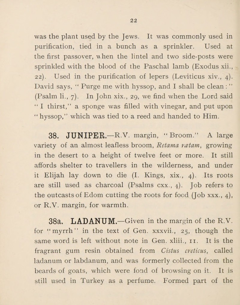 was the plant used by the Jews. It was commonly used in purification, tied in a bunch as a sprinkler. Used at the first passover, when the lintel and two side-posts were sprinkled with the blood of the Paschal lamb (Exodus xii., 22). Used in the purification of lepers (Leviticus xiv., 4). David says, “ Purge me with hyssop, and I shall be clean : ” (Psalm li., 7). In John xix., 29, we find when the Lord said “ I thirst,” a sponge was filled with vinegar, and put upon “ hyssop,” which was tied to a reed and handed to Him. 38. JUNIPER. —R.V. margin, “ Broom.” A large variety of an almost leafless broom, Retama rcstam, growing in the desert to a height of twelve feet or more. It still affords shelter to travellers in the wilderness, and under it Elijah lay down to die (I. Kings, xix., 4). Its roots are still used as charcoal (Psalms cxx., 4). Job refers to the outcasts of Edom cutting the roots for food (Job xxx., 4), or R.V. margin, for warmth. 38a. LADANUM. —Given in the margin of the R.V. for “myrrh” in the text of Gen. xxxvii., 25, though the same word is left without note in Gen. xliii., 11. It is the fragrant gum resin obtained from Cistus creticus, called ladanum or labdanum, and was formerly collected from the beards of goats, which were fond of browsing on it. It is still used in Turkey as a perfume. Formed part of the