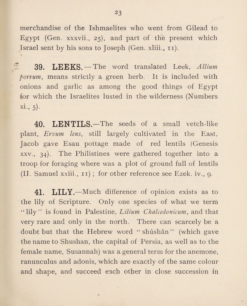merchandise of the Ishmaelites who went from Gilead to Egypt (Gen. xxxvii., 25), and part of the present which Israel sent by his sons to Joseph (Gen. xliii., 11). 39. LEEKS. — The word translated Leek, Allium porrum, means strictly a green herb. It is included with onions and garlic as among the good things of Egypt for which the Israelites lusted in the wilderness (Numbers xi., 5). 40. LENTILS. —The seeds of a small vetch-like plant, Ervum lens, still largely cultivated in the East, Jacob gave Esau pottage made of red lentils (Genesis xxv., 34). The Philistines were gathered together into a troop for foraging where was a plot of ground full of lentils (II. Samuel xxiii., 11) ; for other reference see Ezek. iv., 9. 41. LILY .—Much difference of opinion exists as to the lily of Scripture. Only one species of what we term “lily” is found in Palestine, Lilium Chalcedonicum, and that very rare and only in the north. There can scarcely be a doubt but that the Hebrew word “shushan” (which gave the name to Shushan, the capital of Persia, as well as to the female name, Susannah) was a general term for the anemone, ranunculus and adonis, which are exactly of the same colour and shape, and succeed each other in close succession in