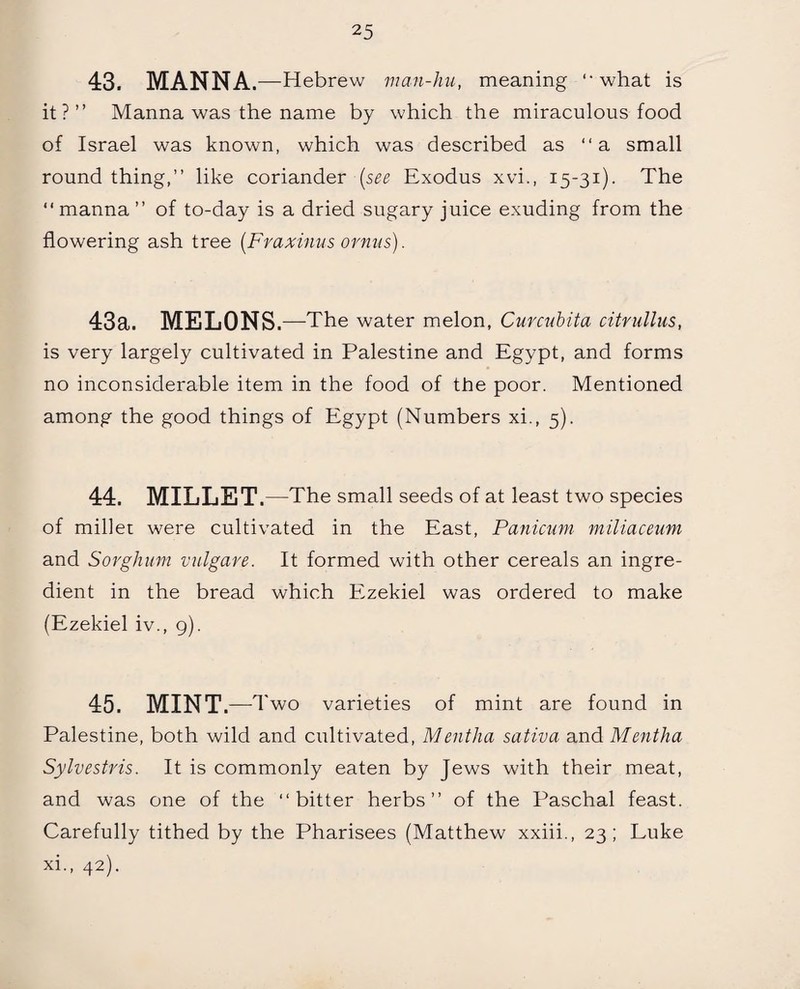 43. MANNA. —Hebrew man-hu, meaning “what is it?” Manna was the name by which the miraculous food of Israel was known, which was described as “a small round thing,” like coriander (see Exodus xvi., 15-31). The “ manna ” of to-day is a dried sugary juice exuding from the flowering ash tree (.Fraxinus ornus). 43a. MELONS ,—The water melon, Curcubita citrullus, is very largely cultivated in Palestine and Egypt, and forms no inconsiderable item in the food of the poor. Mentioned among the good things of Egypt (Numbers xi., 5). 44. MILLET ,—The small seeds of at least two species of millet were cultivated in the East, Panicum miliaceum and Sorghum vulgare. It formed with other cereals an ingre¬ dient in the bread which Ezekiel was ordered to make (Ezekiel iv., 9). 45. MINT—T wo varieties of mint are found in Palestine, both wild and cultivated, Mentha sativa and Mentha Sylvestris. It is commonly eaten by Jews with their meat, and was one of the “bitter herbs” of the Paschal feast. Carefully tithed by the Pharisees (Matthew xxiii., 23; Luke xi., 42).