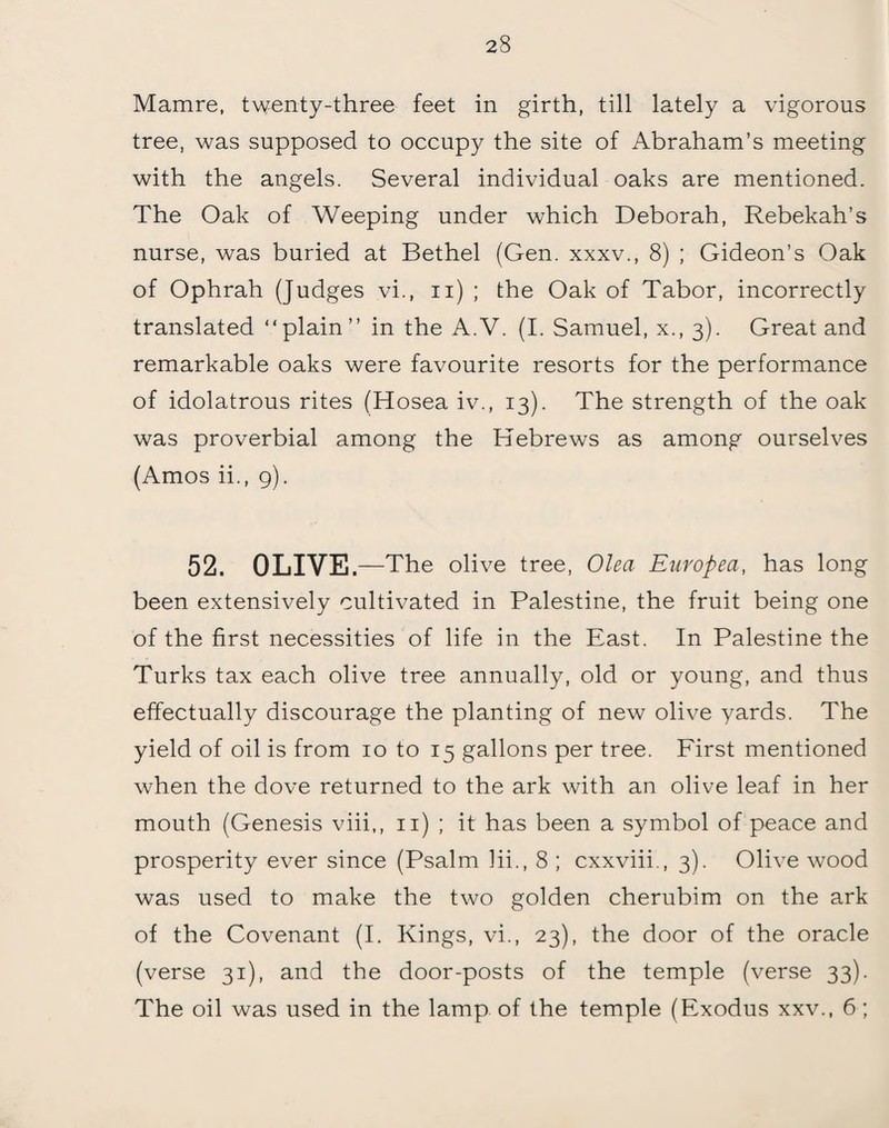 Mamre, twenty-three feet in girth, till lately a vigorous tree, was supposed to occupy the site of Abraham’s meeting with the angels. Several individual oaks are mentioned. The Oak of Weeping under which Deborah, Rebekah’s nurse, was buried at Bethel (Gen. xxxv., 8) ; Gideon’s Oak of Ophrah (Judges vi., n) ; the Oak of Tabor, incorrectly translated “plain” in the A.V. (I. Samuel, x., 3). Great and remarkable oaks were favourite resorts for the performance of idolatrous rites (Hosea iv., 13). The strength of the oak was proverbial among the Hebrews as among ourselves (Amos ii., 9). 52. OLIVE .—The olive tree, Olea Europea, has long been extensively cultivated in Palestine, the fruit being one of the first necessities of life in the East. In Palestine the Turks tax each olive tree annually, old or young, and thus effectually discourage the planting of new olive yards. The yield of oil is from 10 to 15 gallons per tree. First mentioned when the dove returned to the ark with an olive leaf in her mouth (Genesis viii,, 11) ; it has been a symbol of peace and prosperity ever since (Psalm lii., 8 ; cxxviii., 3). Olive wood was used to make the two golden cherubim on the ark of the Covenant (I. Kings, vi., 23), the door of the oracle (verse 31), and the door-posts of the temple (verse 33). The oil was used in the lamp of the temple (Exodus xxv., 6;