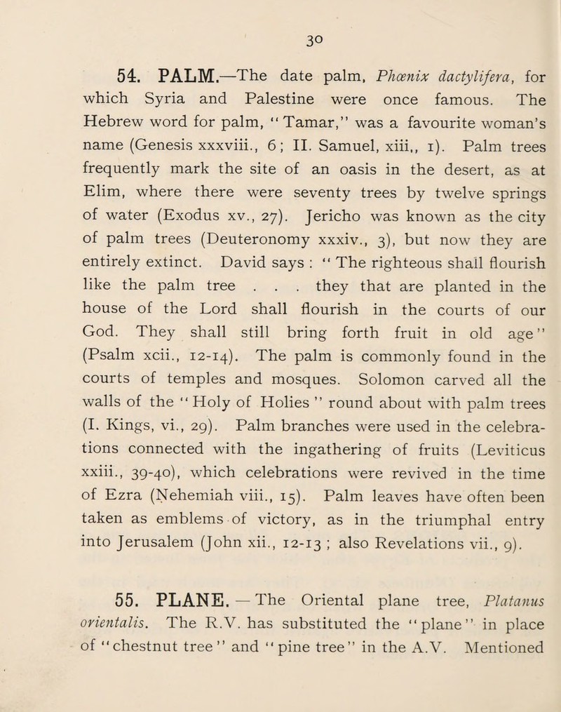 54. PALM .—The date palm, Phoenix dactylifera, for which Syria and Palestine were once famous. The Hebrew word for palm, “Tamar,” was a favourite woman’s name (Genesis xxxviii., 6; II. Samuel, xiii,, i). Palm trees frequently mark the site of an oasis in the desert, as at Elim, where there were seventy trees by twelve springs of water (Exodus xv., 27). Jericho was known as the city of palm trees (Deuteronomy xxxiv., 3), but now they are entirely extinct. David says : “ The righteous shall flourish like the palm tree . . . they that are planted in the house of the Lord shall flourish in the courts of our God. They shall still bring forth fruit in old age” (Psalm xcii., 12-14). The palm is commonly found in the courts of temples and mosques. Solomon carved all the walls of the “ Holy of Holies ” round about with palm trees (I. Kings, vi., 29). Palm branches were used in the celebra¬ tions connected with the ingathering of fruits (Leviticus xxiii., 39-40), which celebrations were revived in the time of Ezra (Nehemiah viii., 15). Palm leaves have often been taken as emblems of victory, as in the triumphal entry into Jerusalem (John xii., 12-13 I also Revelations vii., 9). 55. PLANE. — The Oriental plane tree, Platanus orientalis. The R.V. has substituted the “plane” in place of “chestnut tree” and “pine tree” in the A.V. Mentioned