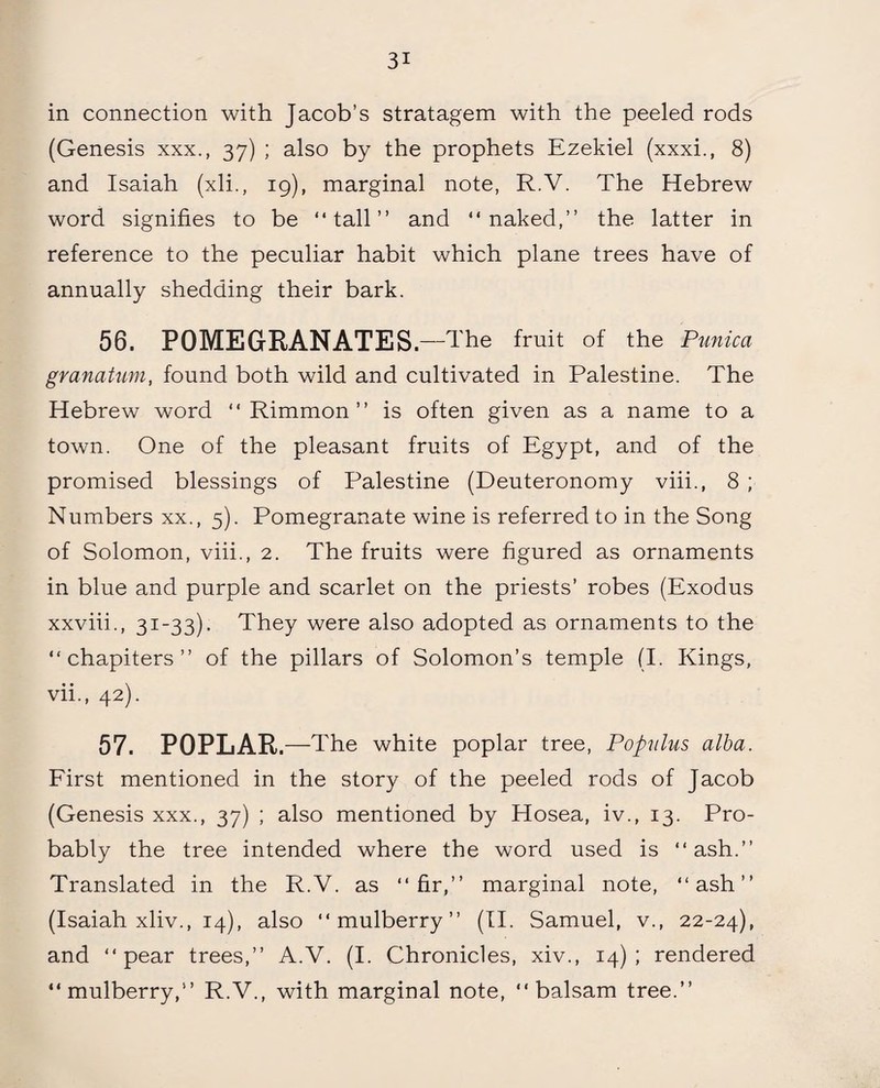in connection with Jacob’s stratagem with the peeled rods (Genesis xxx., 37) ; also by the prophets Ezekiel (xxxi., 8) and Isaiah (xli., 19), marginal note, R.V. The Hebrew word signifies to be “tall” and “naked,” the latter in reference to the peculiar habit which plane trees have of annually shedding their bark. 56. POMEGRANATES. —The fruit of the Punica granatum, found both wild and cultivated in Palestine. The Hebrew word “ Rimmon ” is often given as a name to a town. One of the pleasant fruits of Egypt, and of the promised blessings of Palestine (Deuteronomy viii., 8 ; Numbers xx., 5). Pomegranate wine is referred to in the Song of Solomon, viii., 2. The fruits were figured as ornaments in blue and purple and scarlet on the priests’ robes (Exodus xxviii., 31-33). They were also adopted as ornaments to the “chapiters” of the pillars of Solomon’s temple (I. Kings, vii., 42). 57. POPLAR .—The white poplar tree, Populus alba. First mentioned in the story of the peeled rods of Jacob (Genesis xxx., 37) ; also mentioned by Hosea, iv., 13. Pro¬ bably the tree intended where the word used is “ash.” Translated in the R.V. as “fir,” marginal note, “ash” (Isaiah xliv., 14), also “mulberry” (II. Samuel, v., 22-24), and “pear trees,” A.V. (I. Chronicles, xiv., 14); rendered “mulberry,” R.V., with marginal note, “balsam tree.”