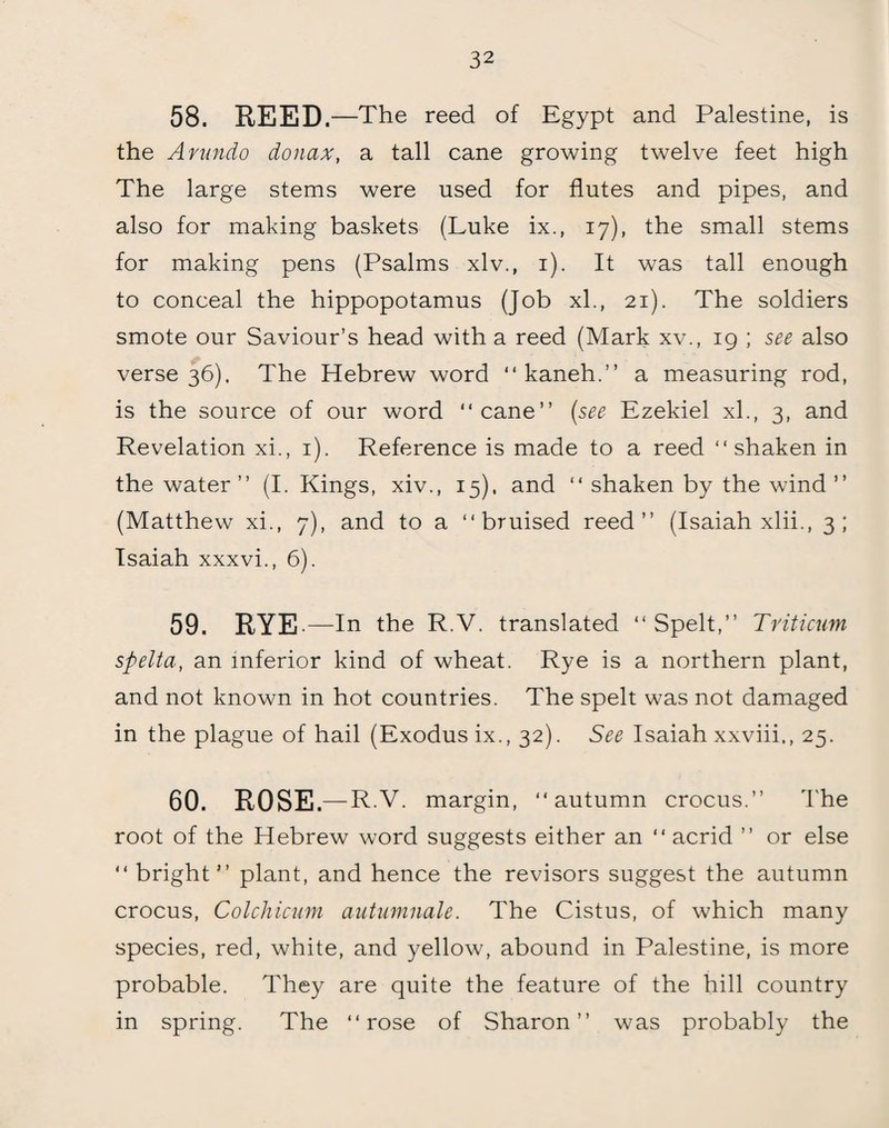 58. REED. —The reed of Egypt and Palestine, is the Arundo donax, a tall cane growing twelve feet high The large stems were used for flutes and pipes, and also for making baskets (Luke ix., 17), the small stems for making pens (Psalms xlv., 1). It was tall enough to conceal the hippopotamus (Job xl., 21). The soldiers smote our Saviour’s head with a reed (Mark xv., 19 ; see also verse 36). The Hebrew word “ kaneh.” a measuring rod, is the source of our word “cane” {see Ezekiel xl., 3, and Revelation xi., 1). Reference is made to a reed “shaken in the water” (I. Kings, xiv., 15). and “ shaken by the wind ” (Matthew xi., 7), and to a “bruised reed” (Isaiah xlii., 3; Isaiah xxxvi., 6). 59. RYE. —In the R.V. translated “ Spelt,” Triticum spelta, an inferior kind of wheat. Rye is a northern plant, and not known in hot countries. The spelt was not damaged in the plague of hail (Exodus ix., 32). See Isaiah xxviii., 25. 60. ROSE. — R.V. margin, “autumn crocus.” The root of the Hebrew word suggests either an “ acrid ” or else “ bright” plant, and hence the revisors suggest the autumn crocus, Colchicum autumnale. The Cistus, of which many species, red, white, and yellow, abound in Palestine, is more probable. They are quite the feature of the hill country in spring. The “rose of Sharon” was probably the