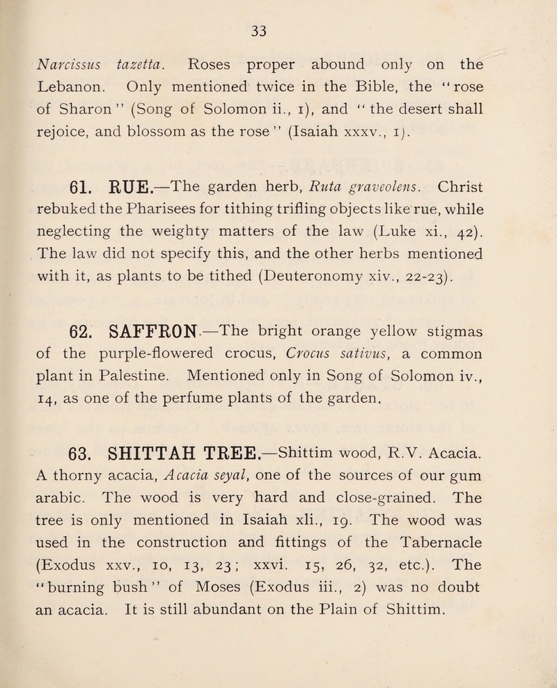 Narcissus tazetta. Roses proper abound only on the Lebanon. Only mentioned twice in the Bible, the “rose of Sharon” (Song of Solomon ii., i), and “ the desert shall rejoice, and blossom as the rose” (Isaiah xxxv., ij. 61. RUE .—The garden herb, Ruta graveolens. Christ rebuked the Pharisees for tithing trifling objects like rue, while neglecting the weighty matters of the law (Luke xi., 42). The law did not specify this, and the other herbs mentioned with it, as plants to be tithed (Deuteronomy xiv., 22-23). 62. SAFFRON .—The bright orange yellow stigmas of the purple-flowered crocus, Crocus sativus, a common plant in Palestine. Mentioned only in Song of Solomon iv., 14, as one of the perfume plants of the garden. 63. SHITTAH TREE. —Shittim wood, R.V. Acacia. A thorny acacia, Acacia seyal, one of the sources of our gum arabic. The wood is very hard and close-grained. The tree is only mentioned in Isaiah xli., 19. The wood was used in the construction and fittings of the Tabernacle (Exodus xxv., 10, 13, 23; xxvi. 15, 26, 32, etc.). The “burning bush” of Moses (Exodus iii., 2) was no doubt an acacia. It is still abundant on the Plain of Shittim.