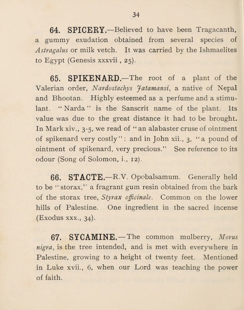 64. SPICERY .—Believed to have been Tragacanth, a gummy exudation obtained from several species of Astragalus or milk vetch. It was carried by the Ishmaelites to Egypt (Genesis xxxvii , 25). 65. SPIKENARD. —The root of a plant of the Valerian order, Nardostachys Jatamansi, a native of Nepal and Bhootan. Highly esteemed as a perfume and a stimu¬ lant. “ Narda ” is the Sanscrit name of the plant. Its value was due to the great distance it had to be brought. In Mark xiv., 3-5, we read of “ an alabaster cruse of ointment of spikenard very costly” : and in John xii., 3, “a pound of ointment of spikenard, very precious.” See reference to its odour (Song of Solomon, i., 12). 66. STACTE.—R.v. Opobalsamum. Generally held to be ” storax,” a fragrant gum resin obtained from the bark of the storax tree, Styrax officinale. Common on the lower hills of Palestine. One ingredient in the sacred incense (Exodus xxx., 34). 67. SYCAMINE , — The common mulberry, Morns nigra, is the tree intended, and is met with everywhere in Palestine, growing to a height of twenty feet. Mentioned in Luke xvii., 6, when our Lord was teaching the power of faith.