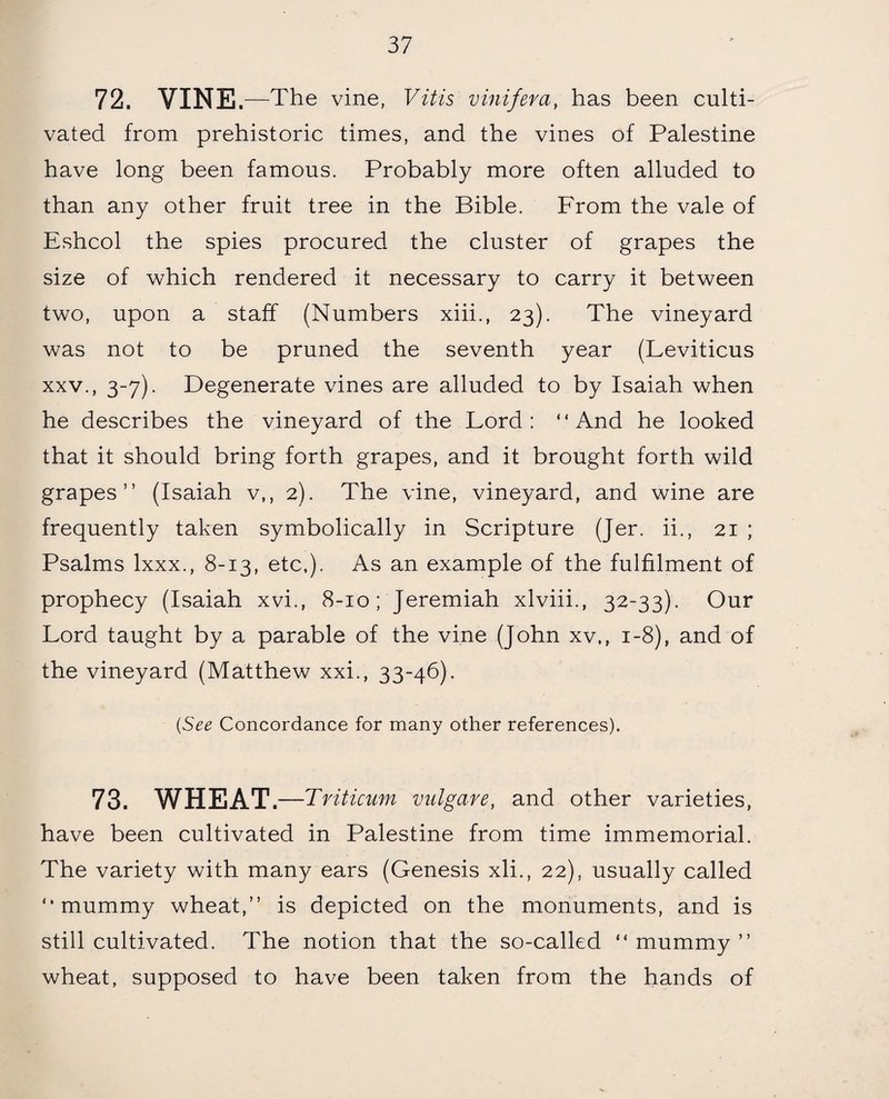 72. VINE ,—The vine, Vitis vinifera, has been culti¬ vated from prehistoric times, and the vines of Palestine have long been famous. Probably more often alluded to than any other fruit tree in the Bible. From the vale of Eshcol the spies procured the cluster of grapes the size of which rendered it necessary to carry it between two, upon a staff (Numbers xiii., 23). The vineyard was not to be pruned the seventh year (Leviticus xxv., 3-7). Degenerate vines are alluded to by Isaiah when he describes the vineyard of the Lord: “And he looked that it should bring forth grapes, and it brought forth wild grapes” (Isaiah v,, 2). The vine, vineyard, and wine are frequently taken symbolically in Scripture (Jer. ii., 21 ; Psalms lxxx., 8-13, etc,). As an example of the fulfilment of prophecy (Isaiah xvi., 8-10; Jeremiah xlviii., 32-33). Our Lord taught by a parable of the vine (John xv„ i-8), and of the vineyard (Matthew xxi., 33-46). (See Concordance for many other references). 73. WHEAT .—Triticum vulgare, and other varieties, have been cultivated in Palestine from time immemorial. The variety with many ears (Genesis xli., 22), usually called “mummy wheat,” is depicted on the monuments, and is still cultivated. The notion that the so-called “ mummy ” wheat, supposed to have been taken from the hands of