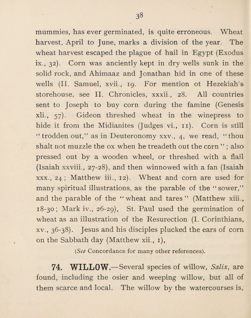 mummies, has ever germinated, is quite erroneous. Wheat harvest, April to June, marks a division of the year. The wheat harvest escaped the plague of hail in Egypt (Exodus ix., 32). Corn was anciently kept in dry wells sunk in the solid rock, and Ahimaaz and Jonathan hid in one of these wells (II. Samuel, xvii., 19. For mention ot Hezekiah’s storehouse, see II. Chronicles, xxxii., 28. All countries sent to Joseph to buy corn during the famine (Genesis xli., 57). Gideon threshed wheat in the winepress to hide it from the Midianites (Judges vi., 11). Corn is still “trodden out,’’ as in Deuteronomy xxv., 4, we read, “thou shalt not muzzle the ox when he treadeth out the corn ” ; also pressed out by a wooden wheel, or threshed with a flail (Isaiah xxviii., 27-28), and then winnowed with a fan (Isaiah xxx., 24; Matthew iii., 12). Wheat and corn are used for many spiritual illustrations, as the parable of the “sower,” and the parable of the “wheat and tares” (Matthew xiii., 18-30; Mark iv., 26-29), St. Paul used the germination of wheat as an illustration of the Resurection (I. Corinthians, xv., 36-38). Jesus and his disciples plucked the ears of corn on the Sabbath day (Matthew xii., 1), (See Concordance for many other references). 74. WILLOW .—Several species of willow, Salix, are found, including the osier and weeping willow, but all of them scarce and local. The willow by the watercourses is.