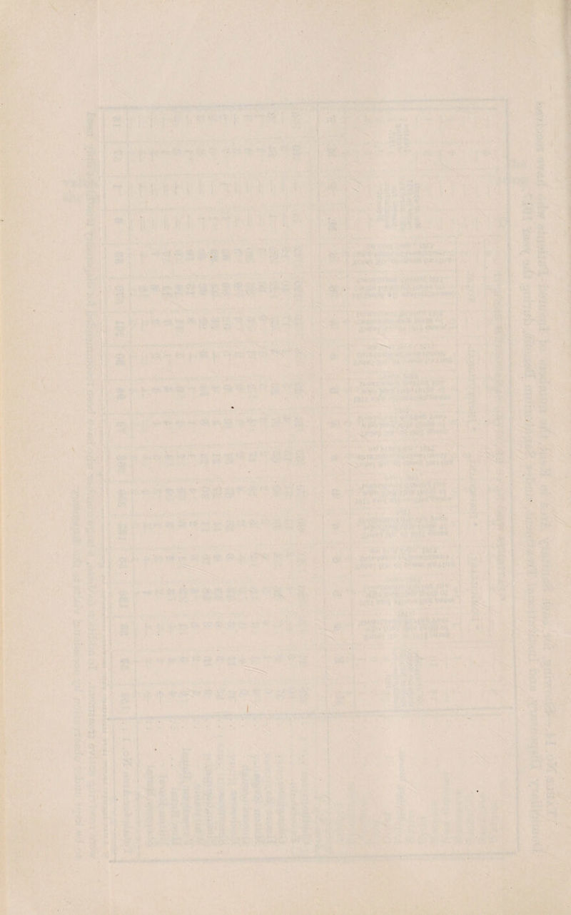 ' . , ^, ■ . ■ , ■ * - • • . . . , - * . ■