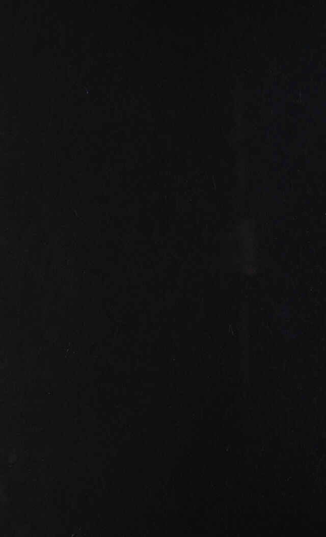 digitised image 2