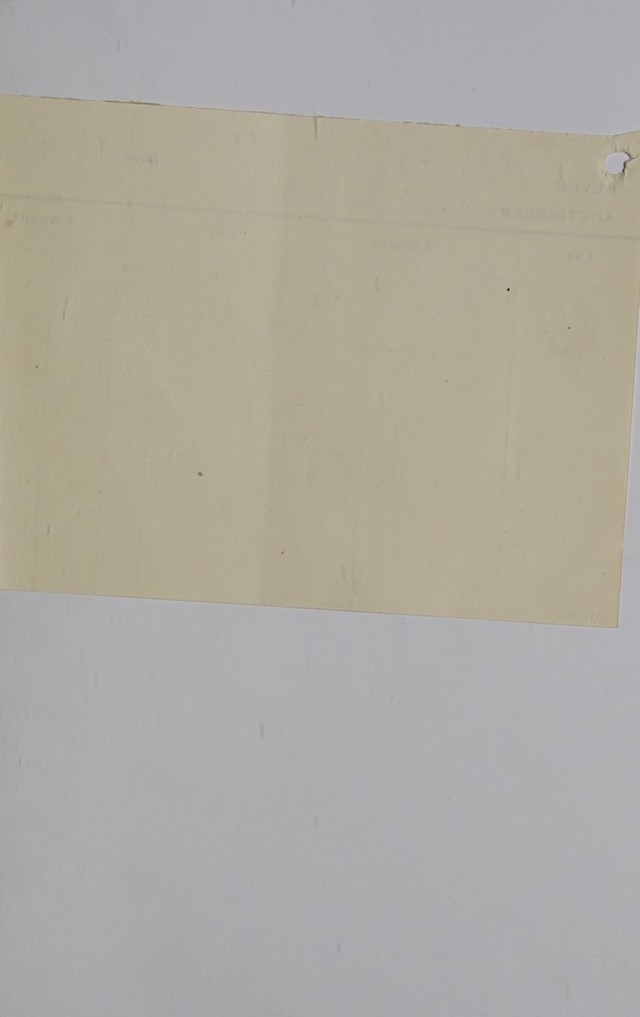 digitised image 3