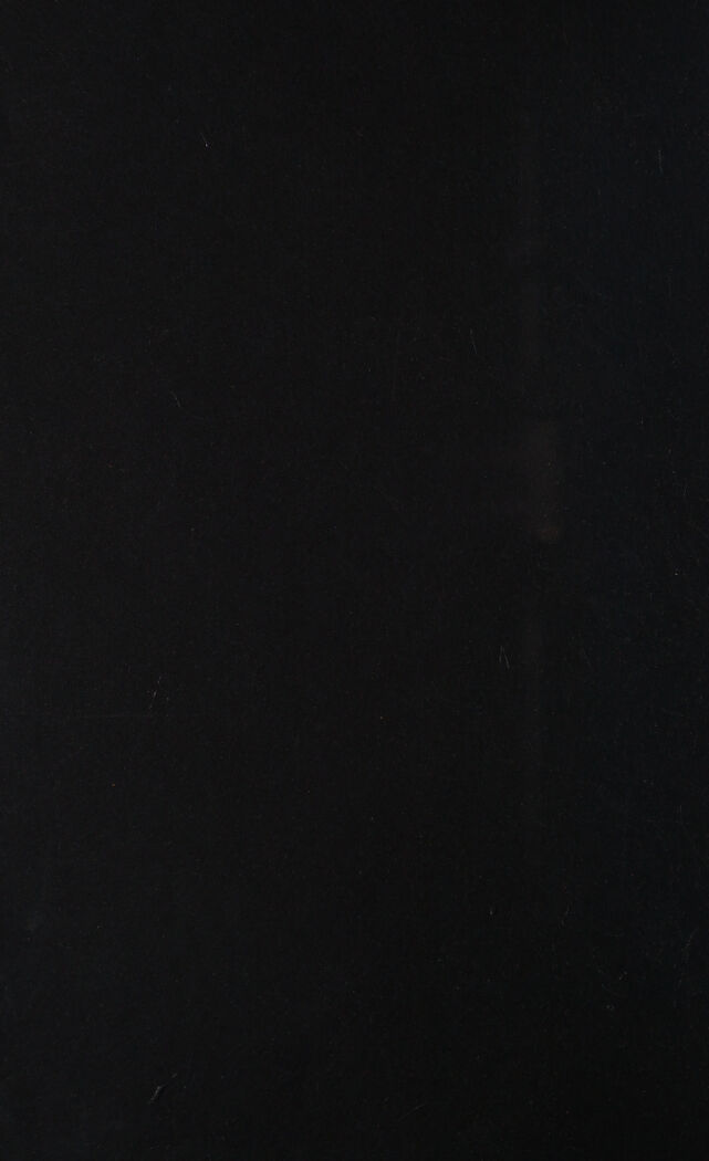 digitised image 2