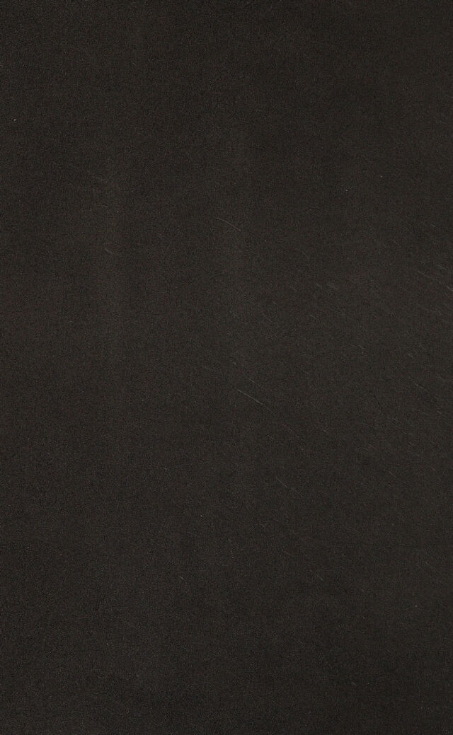 digitised image 2