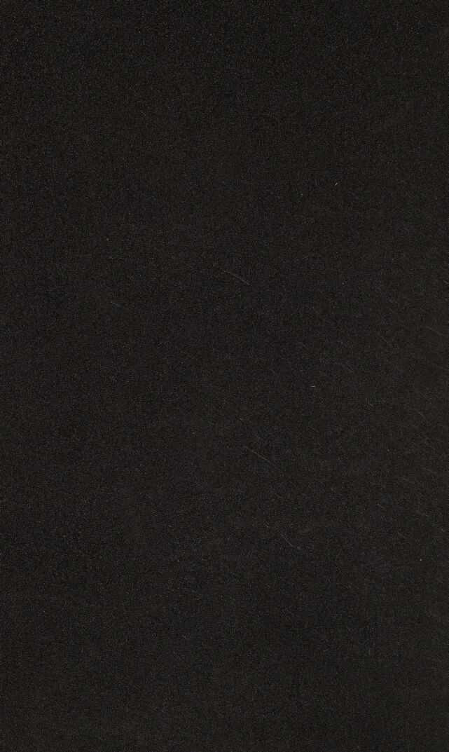 digitised image 2