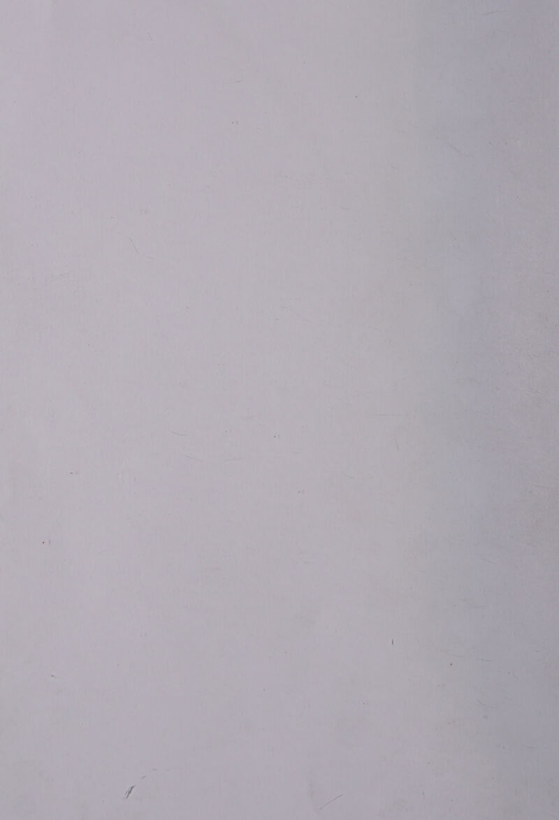 a m4 ‘ ny \ NS ~ f ine — oe : . - 4 Ce | = | es he, Yr 7 ’ a i’ \ . = - +e” a : -~ a . i tage eh + tess * ee Tt ) ia =. es oP A  