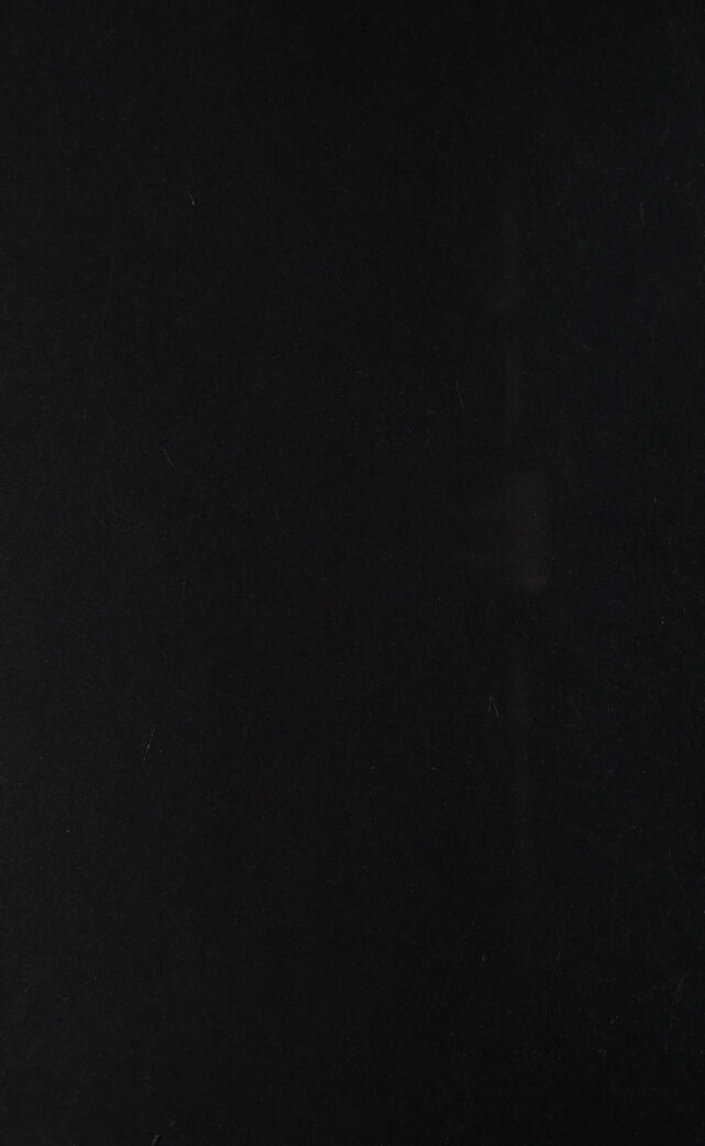 digitised image 2