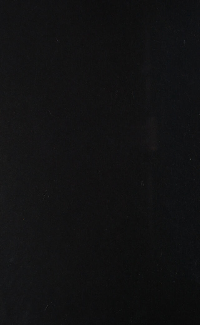digitised image 2