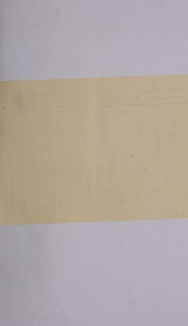 digitised image 3