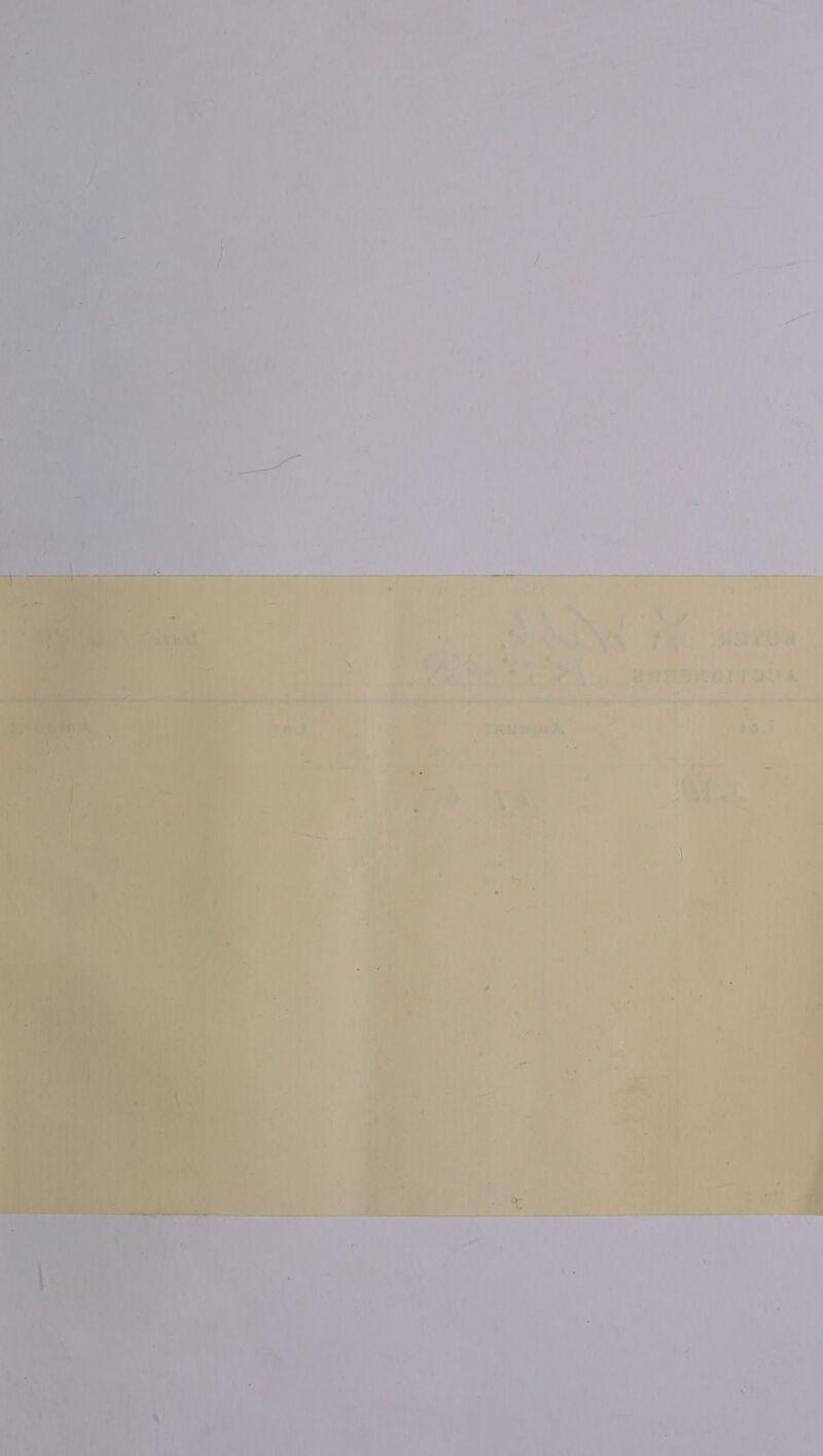   q io : F ¥: , / as ua = &amp; ~ i = ° SS Se j Ae r, 5 : © 4 - ; 4 f 2 j » r : i 4 = 4 if : ¥ h sy f \ i t 7 i. 7 f ¥ + Fa é T= ££. os | ywtt'< ; be, yo ee a « 3 : a \ -,,. \ + ayy ne I \ +. ty, Le sh - 5 4 oe: A } z % aw o 4 . ye n “A 5 +e tS Ls we 1 : i 7 , : F rae ee Se 4 . iA. fs phetice Fe ee Be AS —!. ee ee eee are Pa yeti em cae Sle aie ete: “ “4 n ar j ? igs : 7 rib ms ae 1 ye 1 f ios «