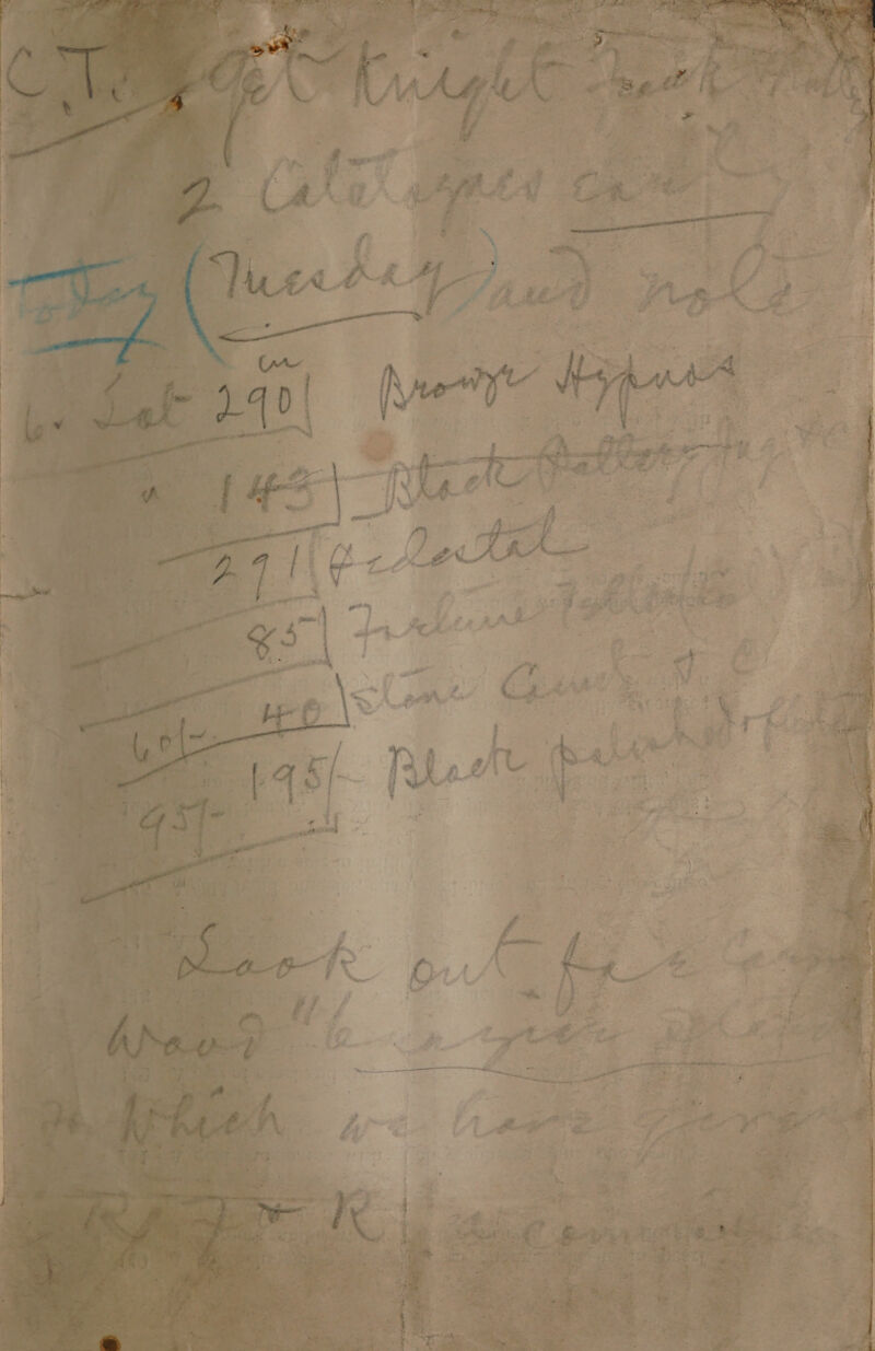 No text description is available for this image