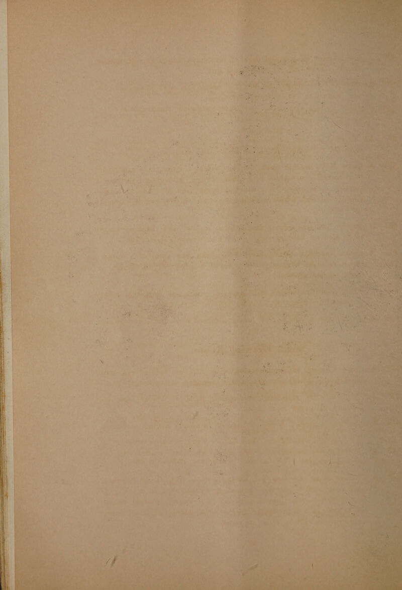 Ve ePe ar ery tn, . 4? } * ale 