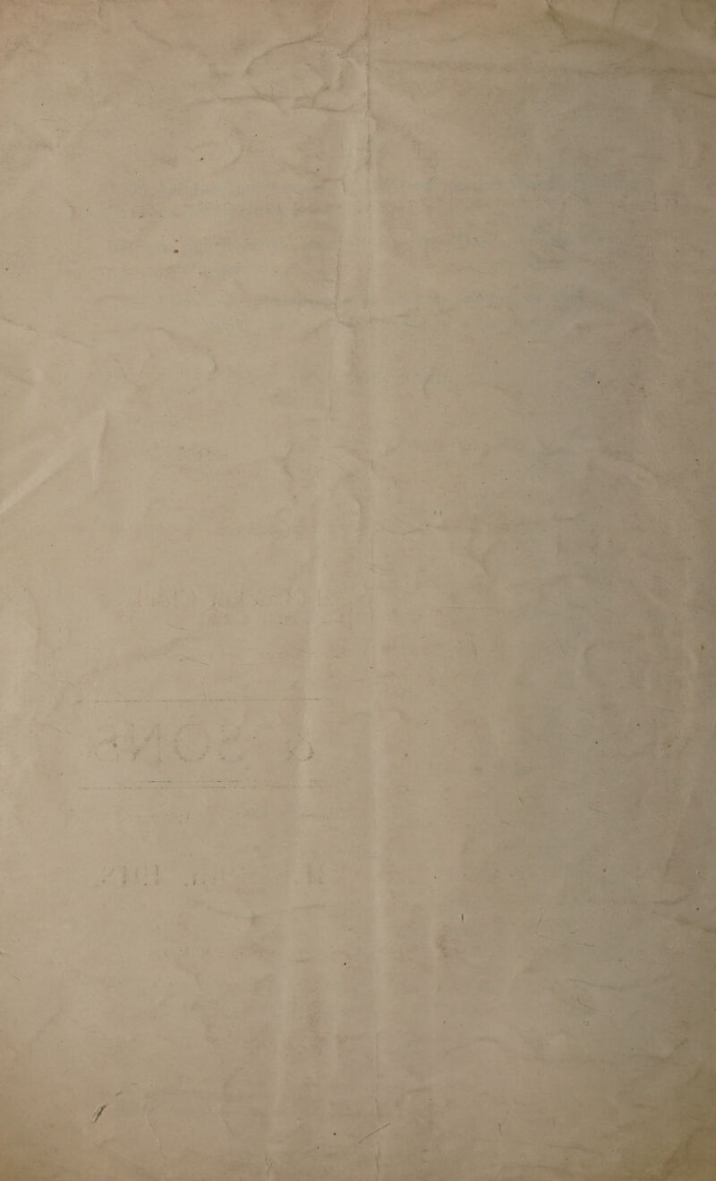   senha”   vow et , ‘ ue *