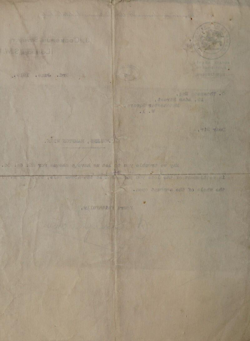   ” , ah >  te . ey a 1! ye ay 1p) ¢t ; °   Sint oreta Rie ; : j ‘ hy * Re i ! * is I Pula Jeet Ceri &amp;      = *: Se ee ea ae ana AEE qanee BT ‘worepiatt '. bra, Wt na nee ee a eer ve We ue 