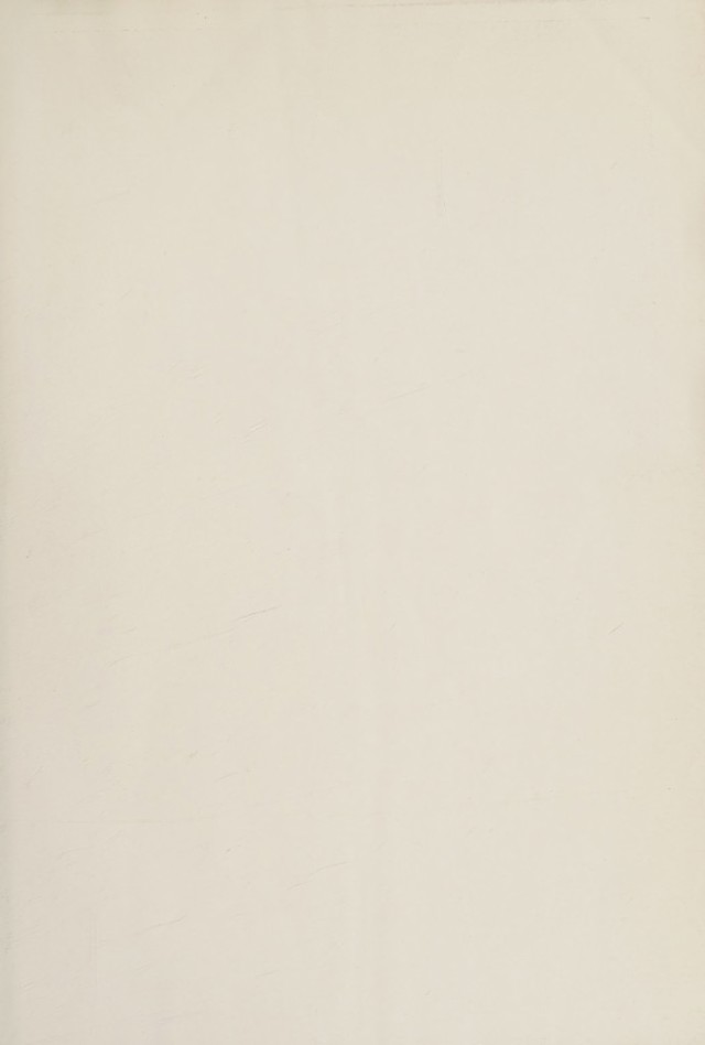 digitised image 3