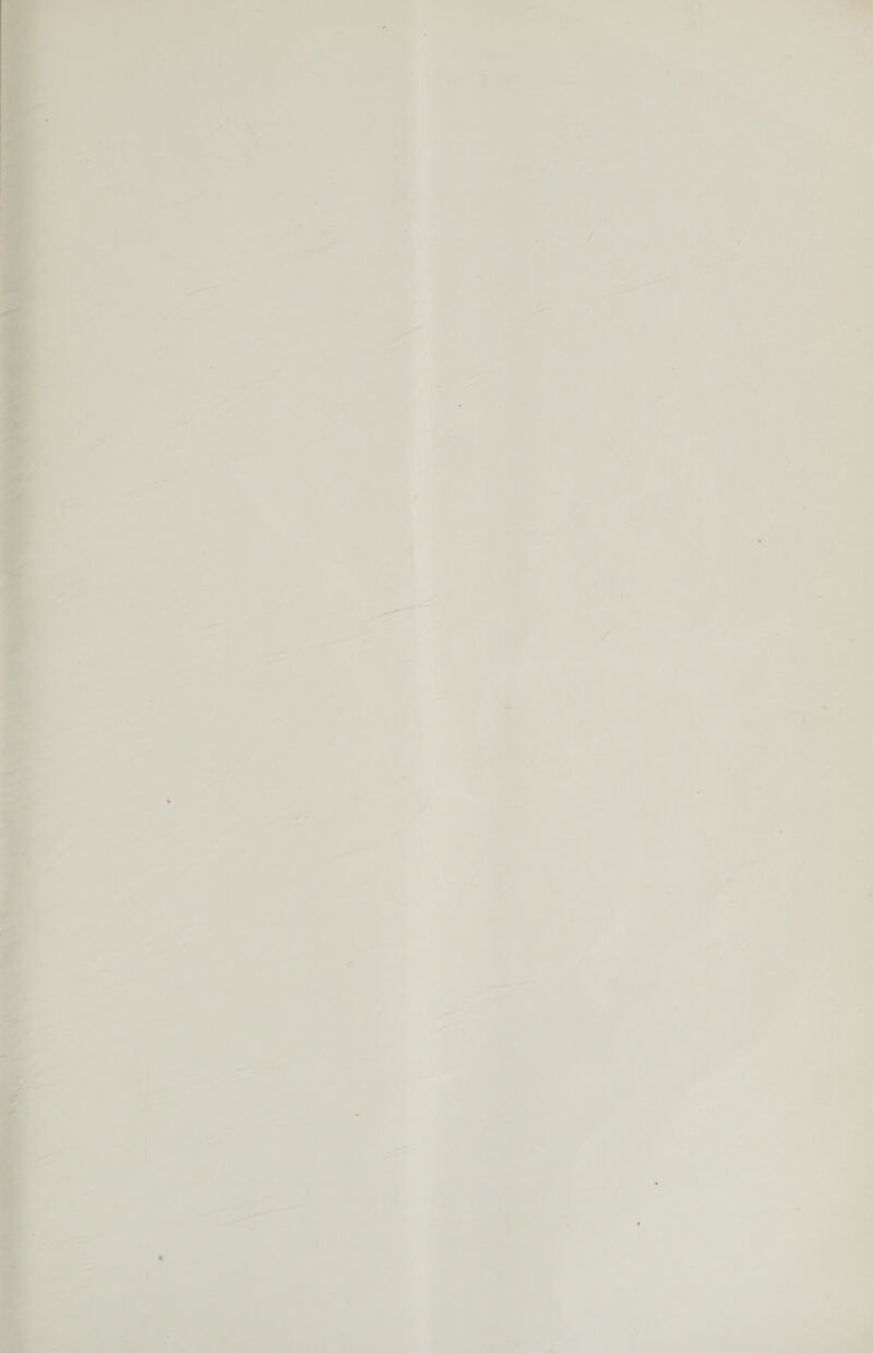  : , ; 5 . = vit . a a “ee \ * 1 i * i] ~ = j ‘ \ Hi i &gt; ? \ ‘ = | ky + fi % b \ ) : ; -—% “a9 3 4 \ 7 \ ; \ in . \ 1 . : . - 4 i : i , N 1 7 ‘ 