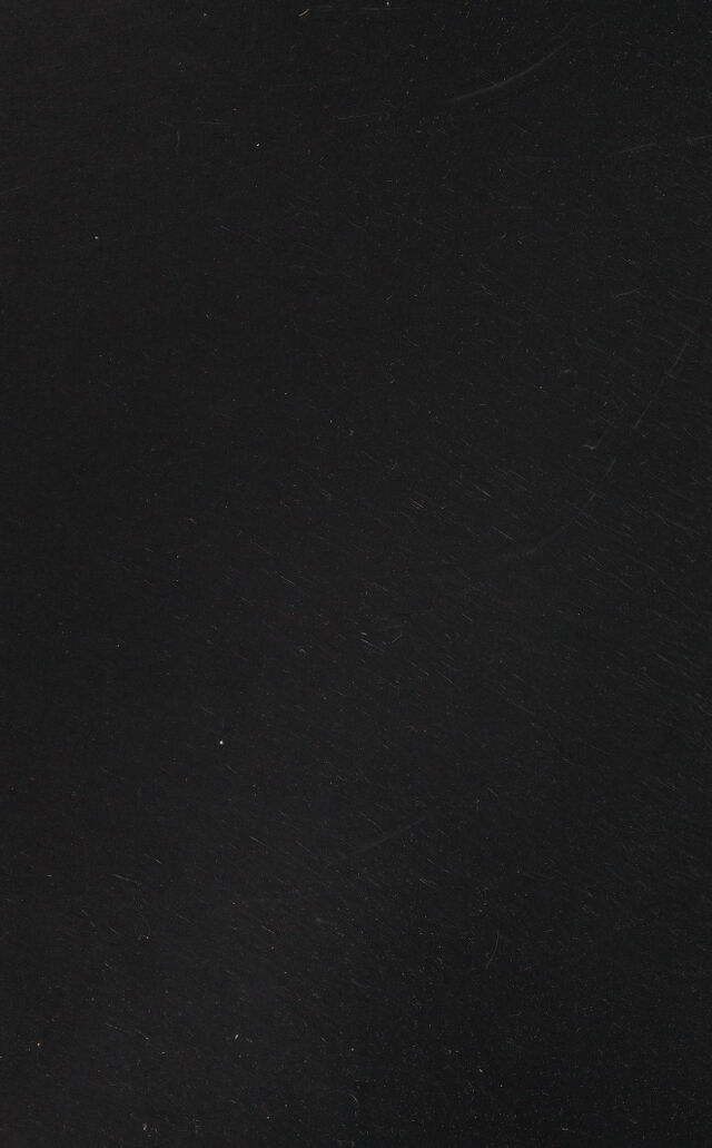 digitised image 2