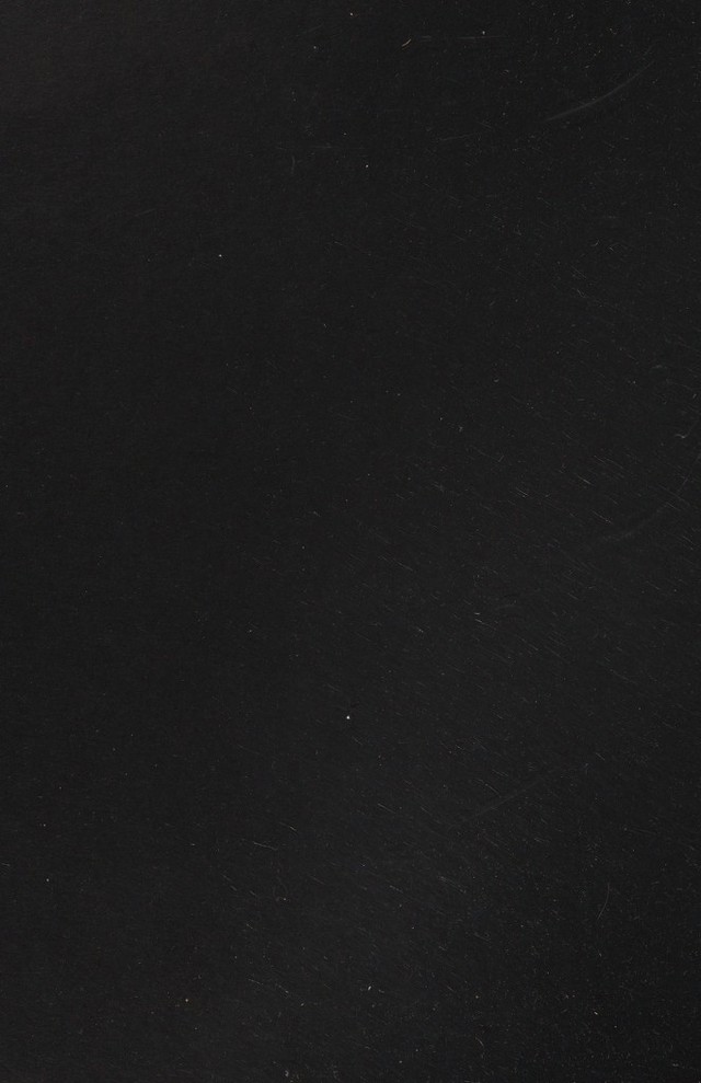 digitised image 2
