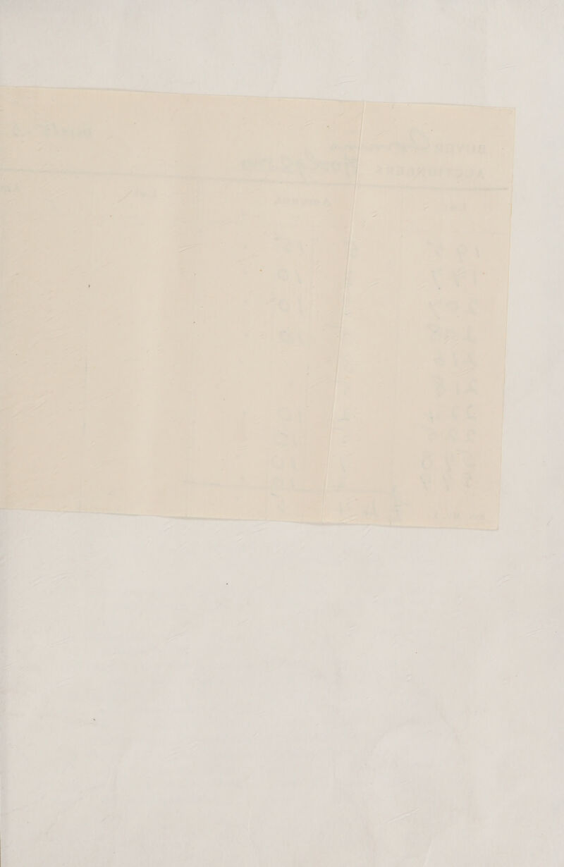   “> ih re 4   ae ve! eS A