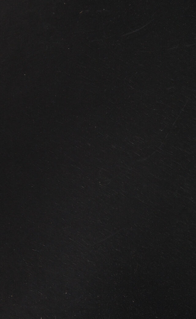 digitised image 2